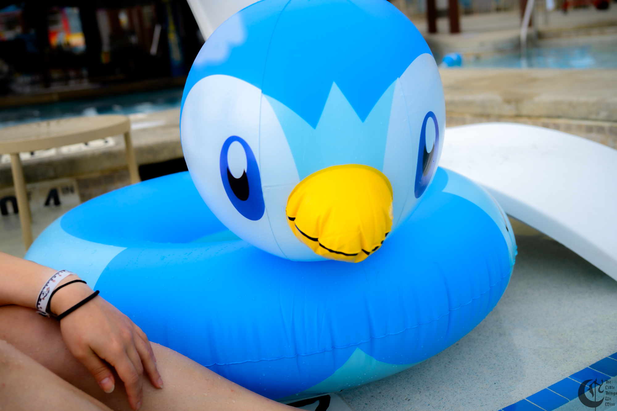 !!250906_CCE25_p2_0534!!