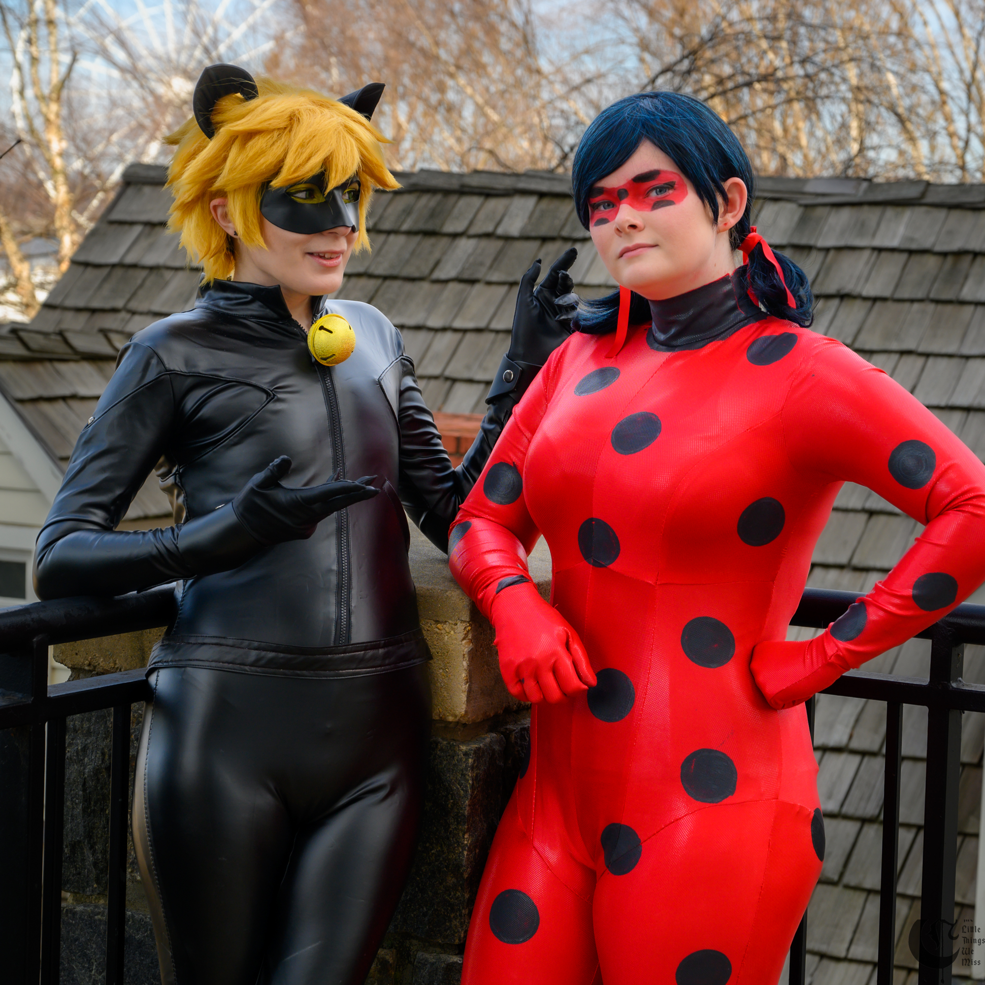 !!_230219_Katsu23_0798!!