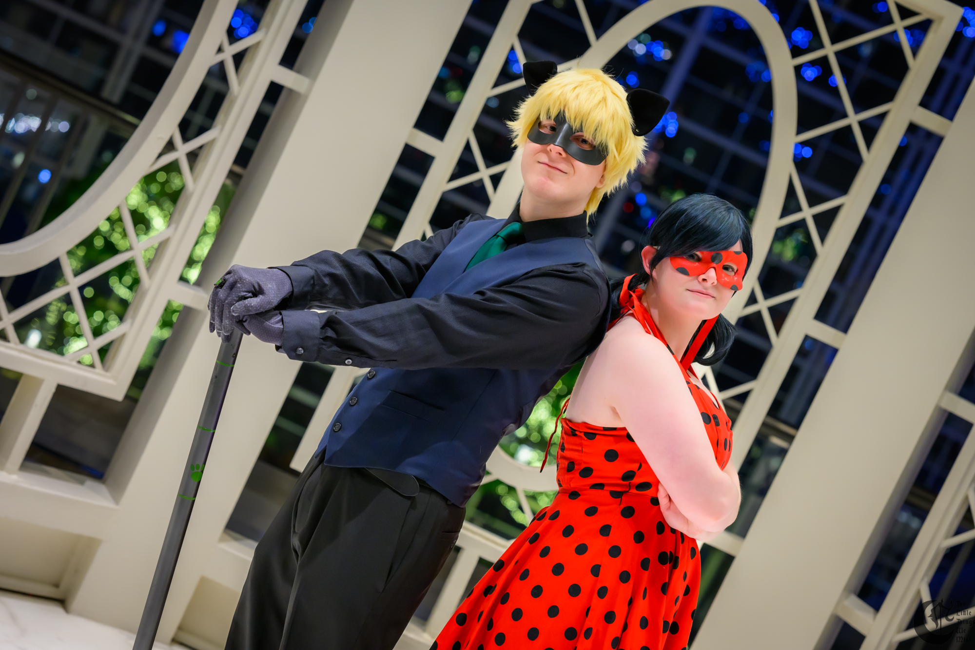 Cover_240215_Katsu24_1332