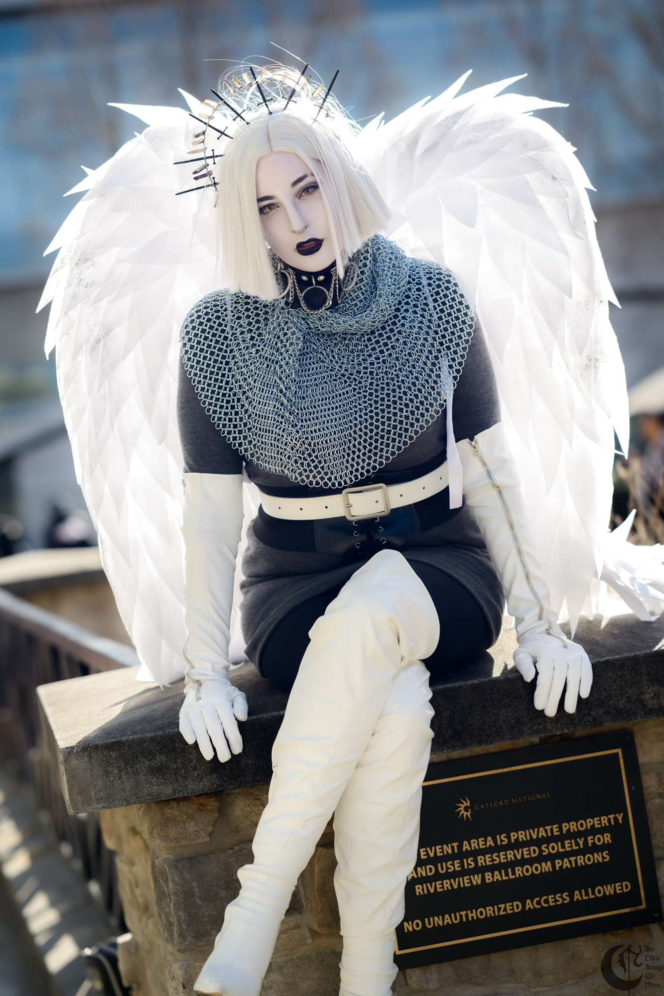 !!_240218_Katsu24_1351!!