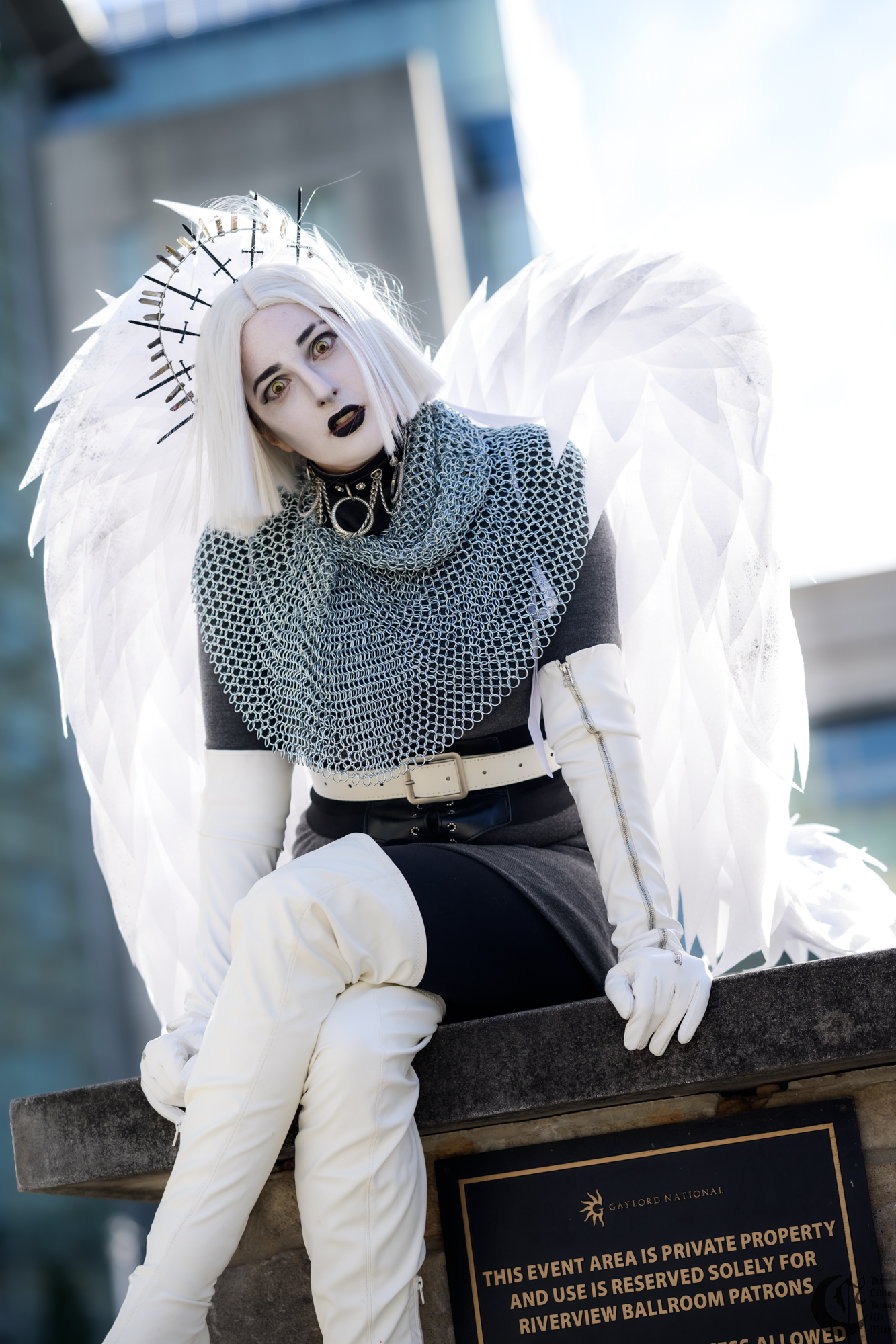 !!_240218_Katsu24_1456!!