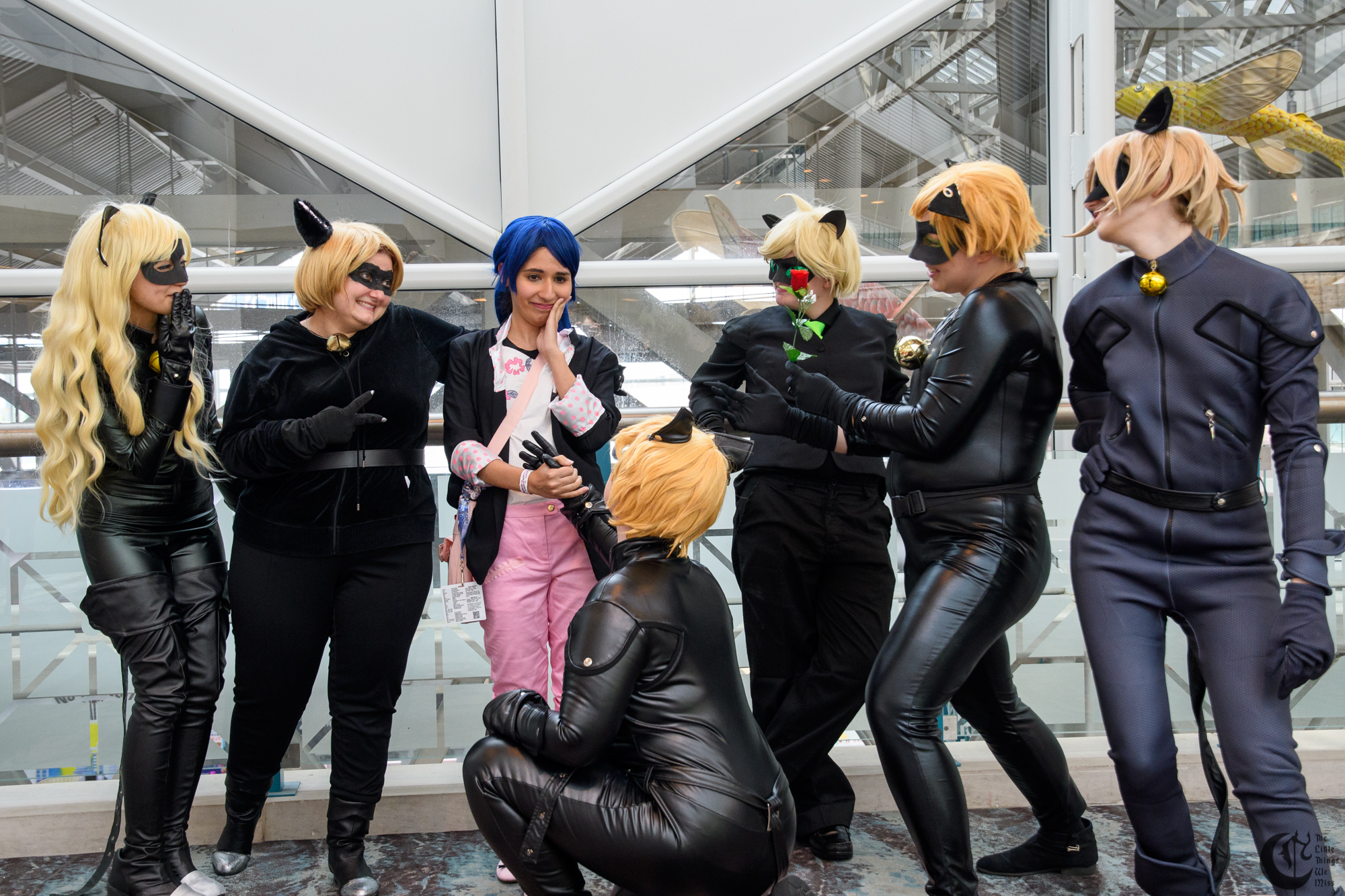 !!180608_Animenext18_0530!!