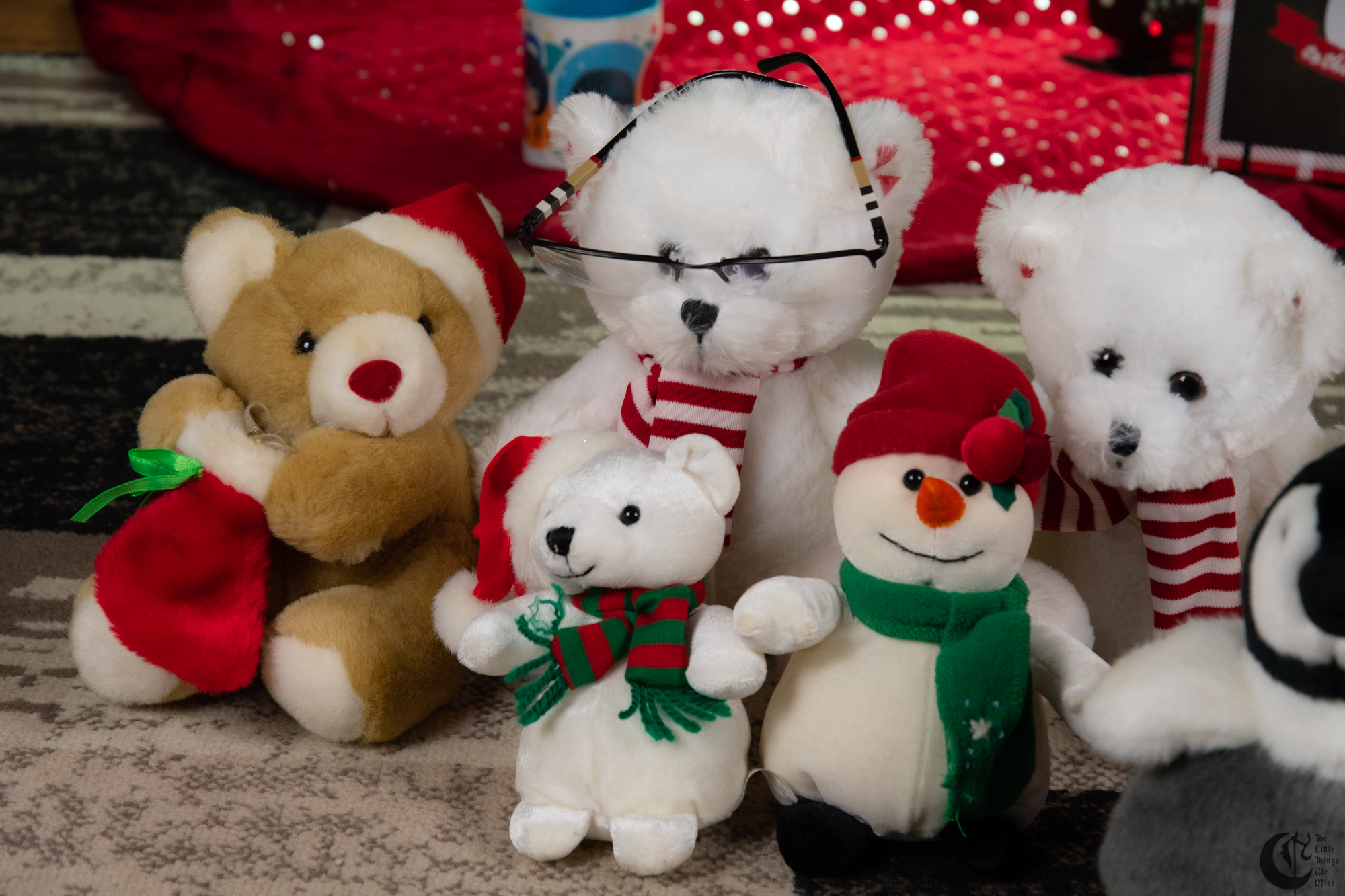 !!191221_Chrimmis_0038!!