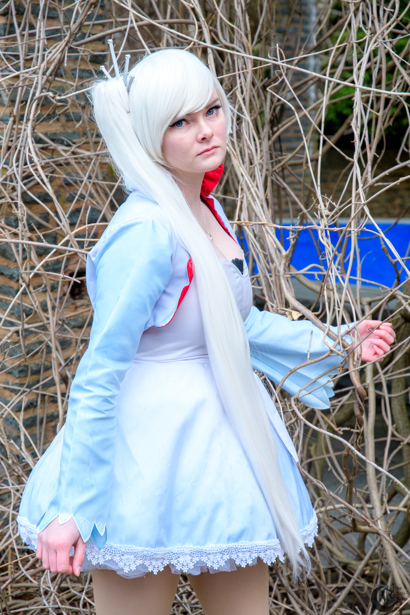 !!180429_Grey_Weiss_0704!!