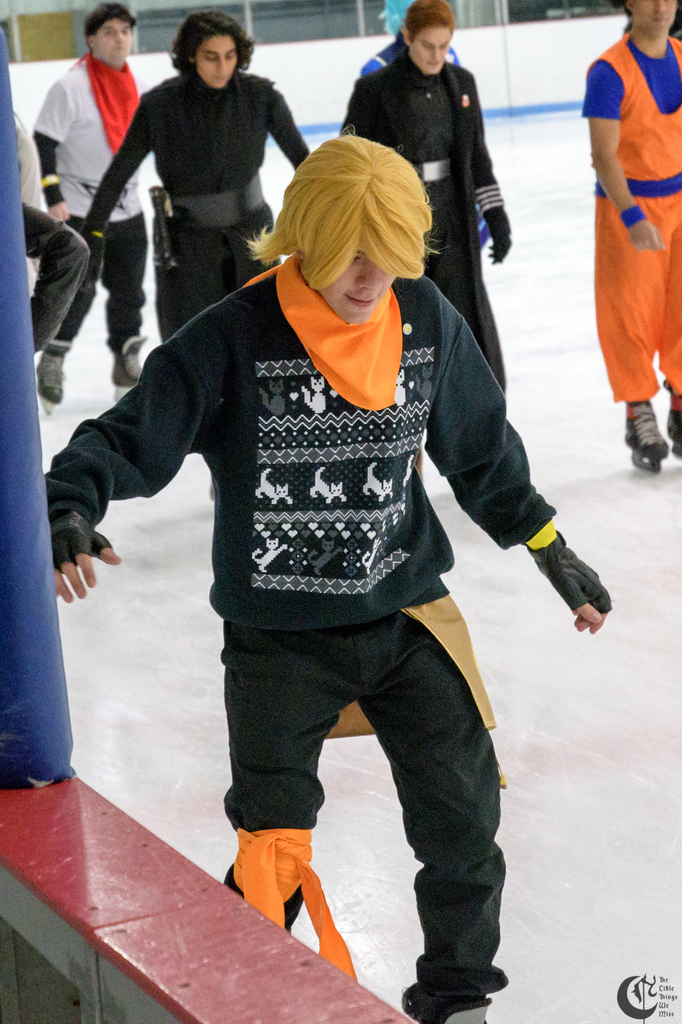 !!180113_Cosplay_Ice_Skating17_0120!!