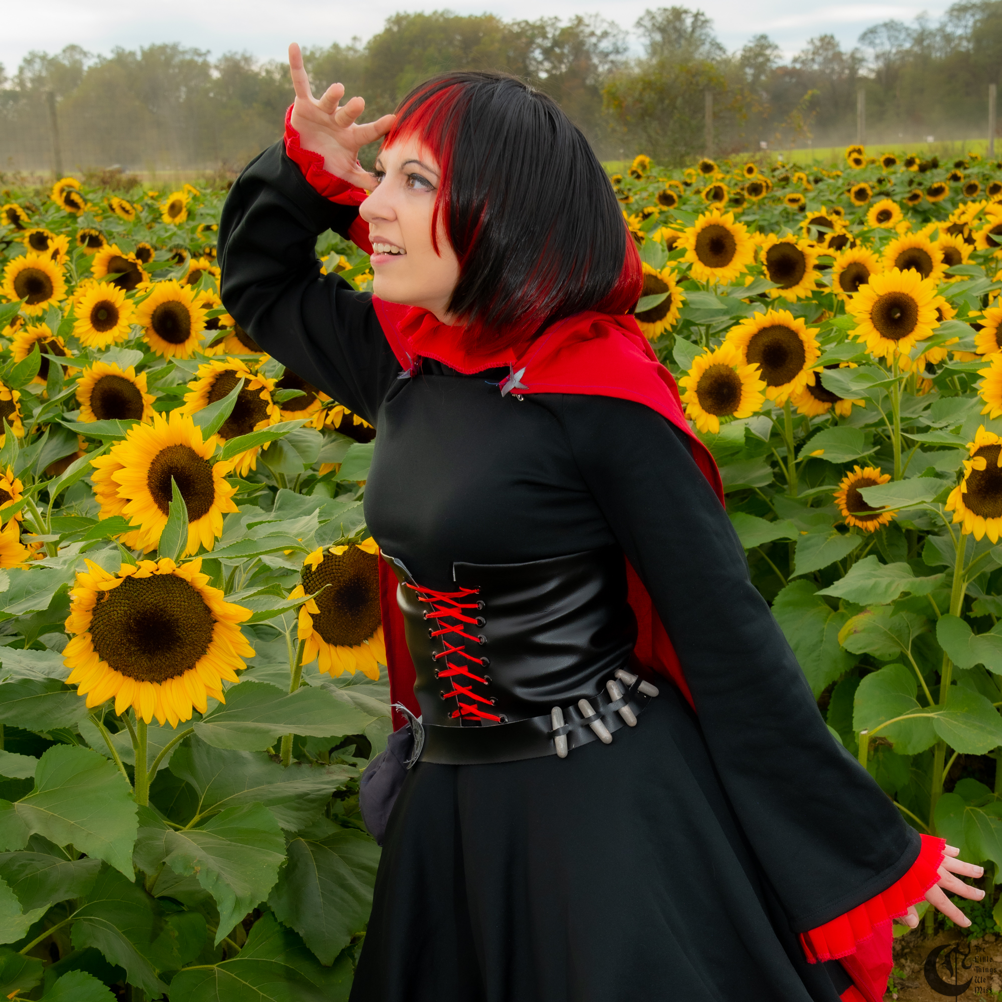 !!191013_Sunflowers_0147!!
