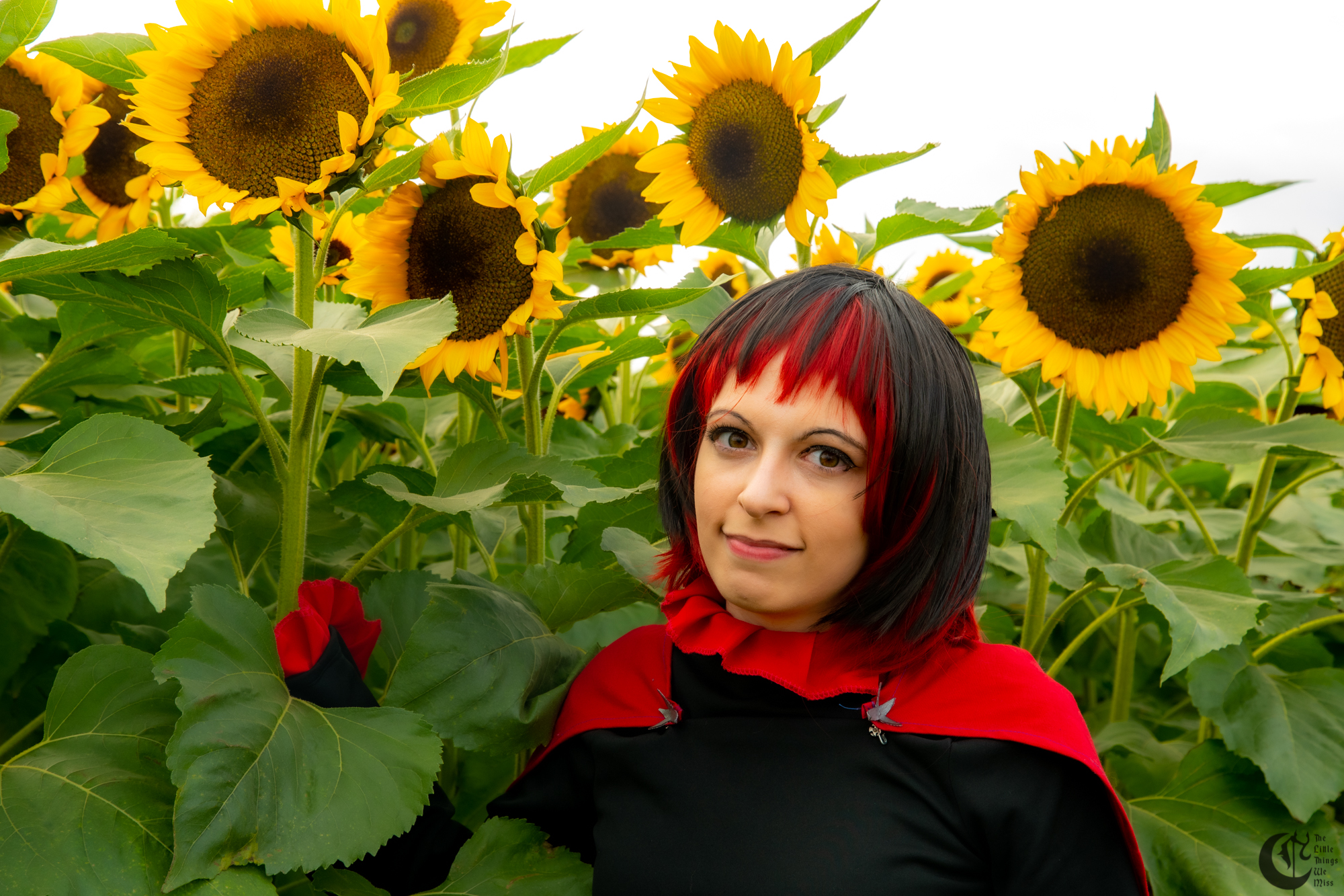 !!191013_Sunflowers_0158!!