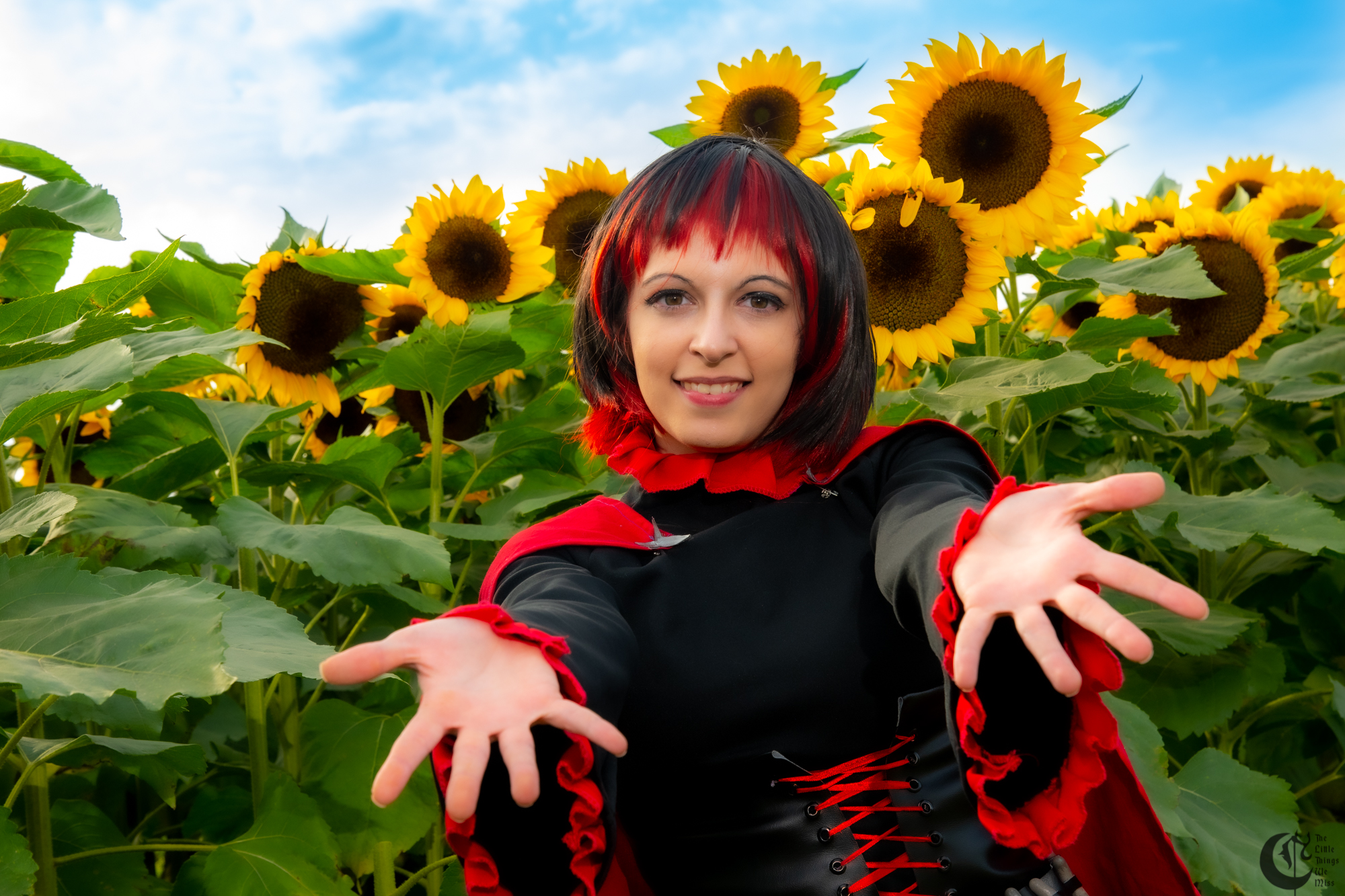 !!191013_Sunflowers_0166!!