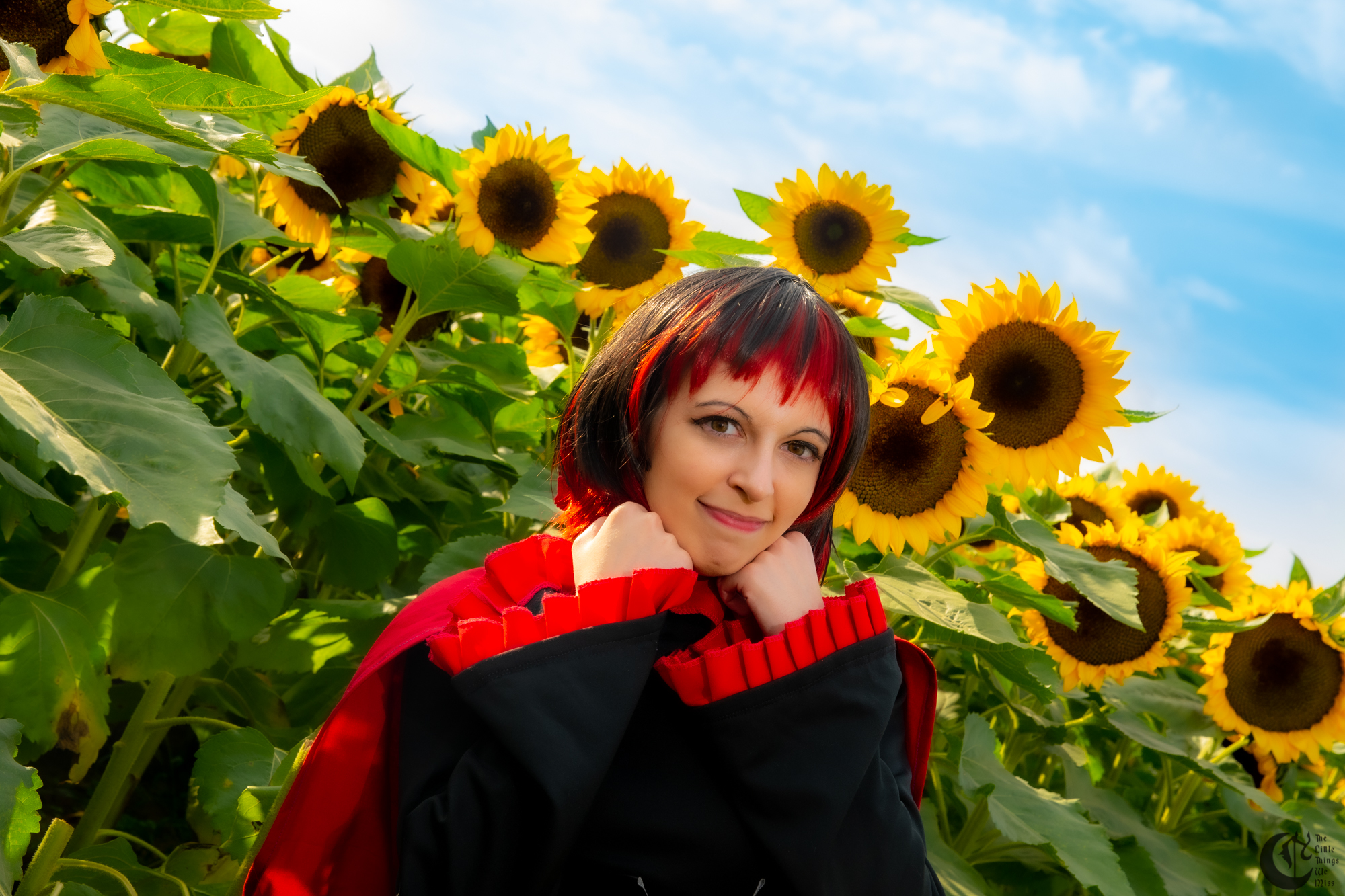 !!191013_Sunflowers_0170!!