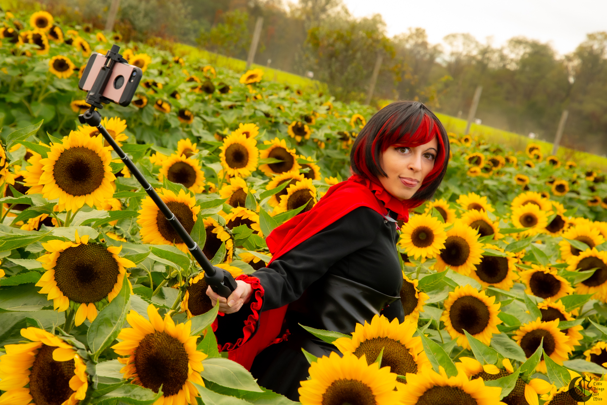 !!191013_Sunflowers_0279!!