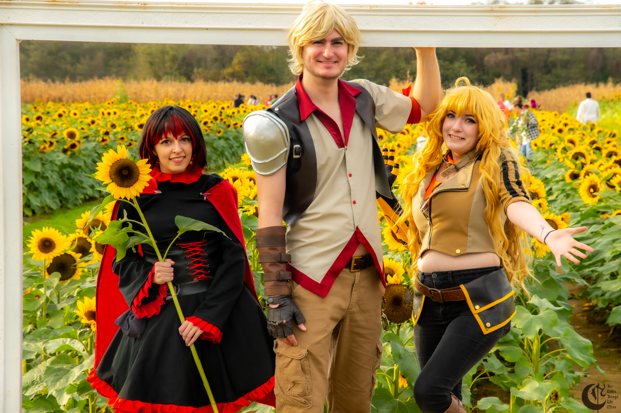 !!191013_Sunflowers_0344!!
