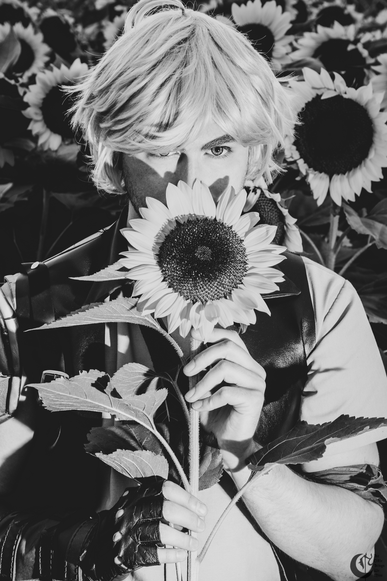 !!191013_Sunflowers_0308!!