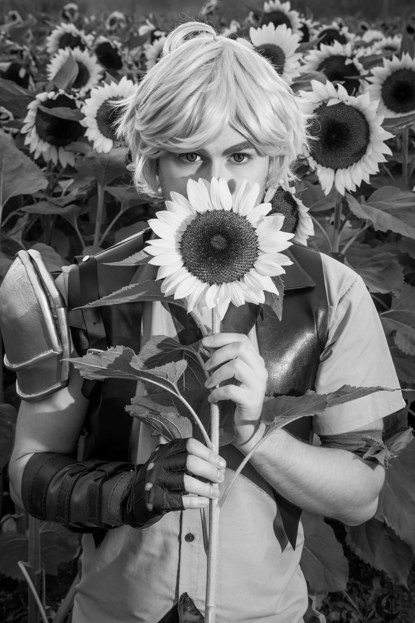 !!191013_Sunflowers_0313-2!!