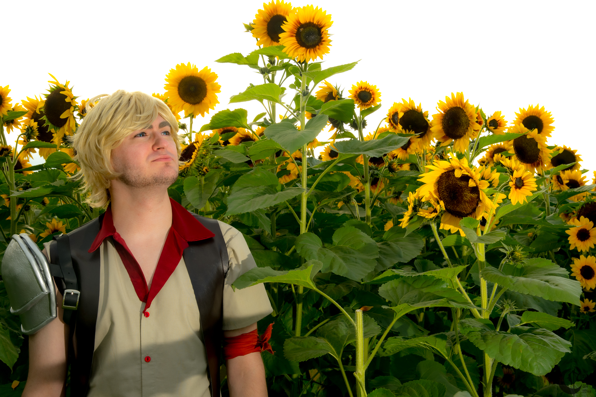 !!191013_Sunflowers_0348!!