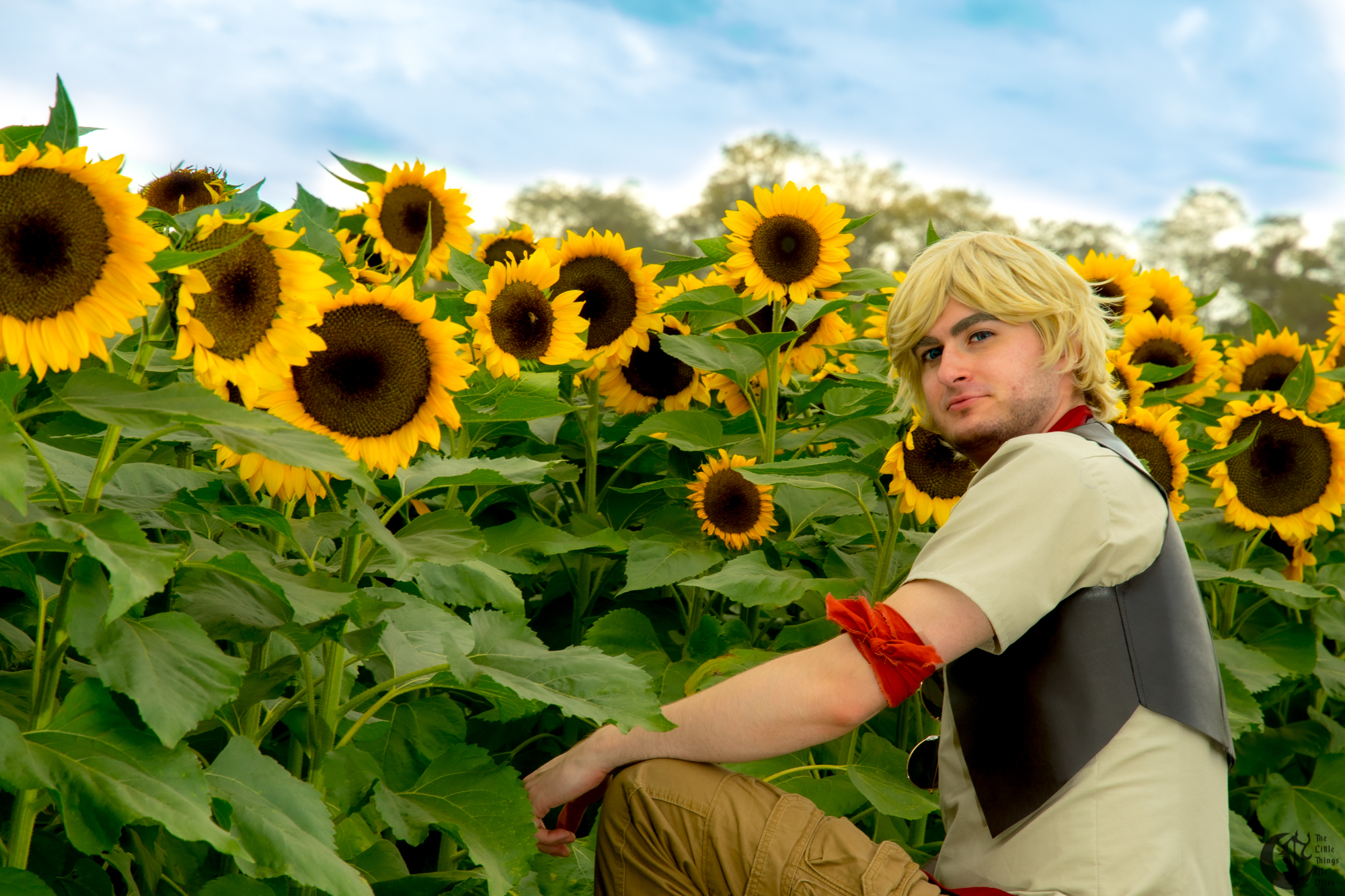 Cover_191013_Sunflowers_0111