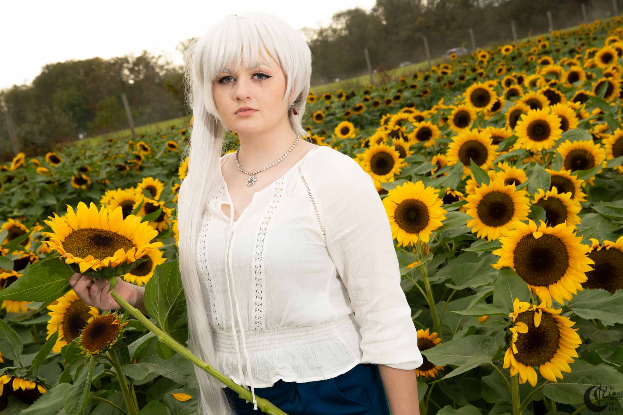 !!191013_Sunflowers_0288!!