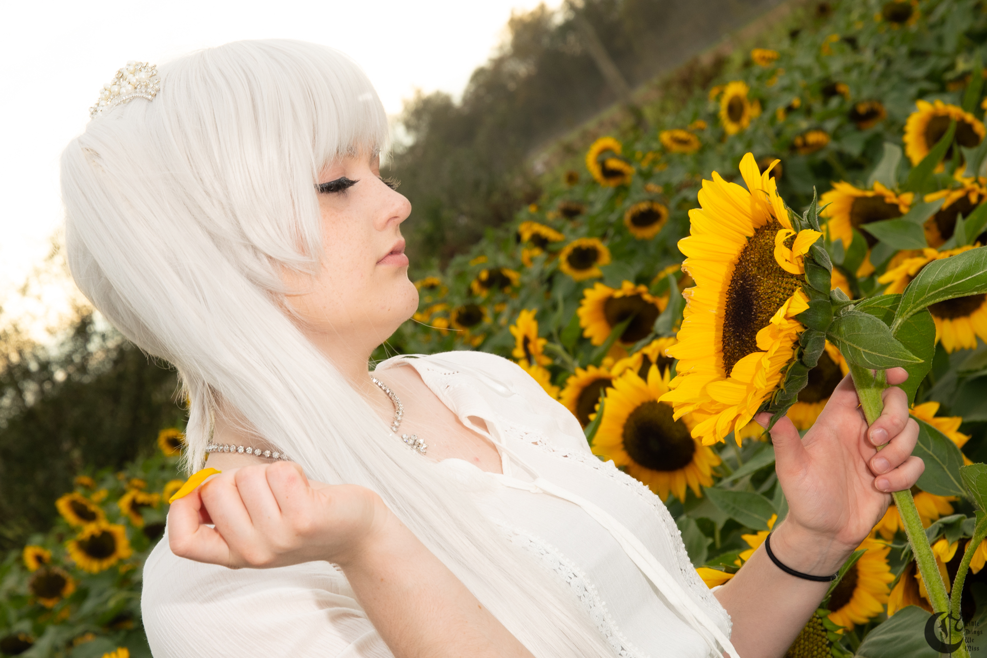 !!191013_Sunflowers_0297!!