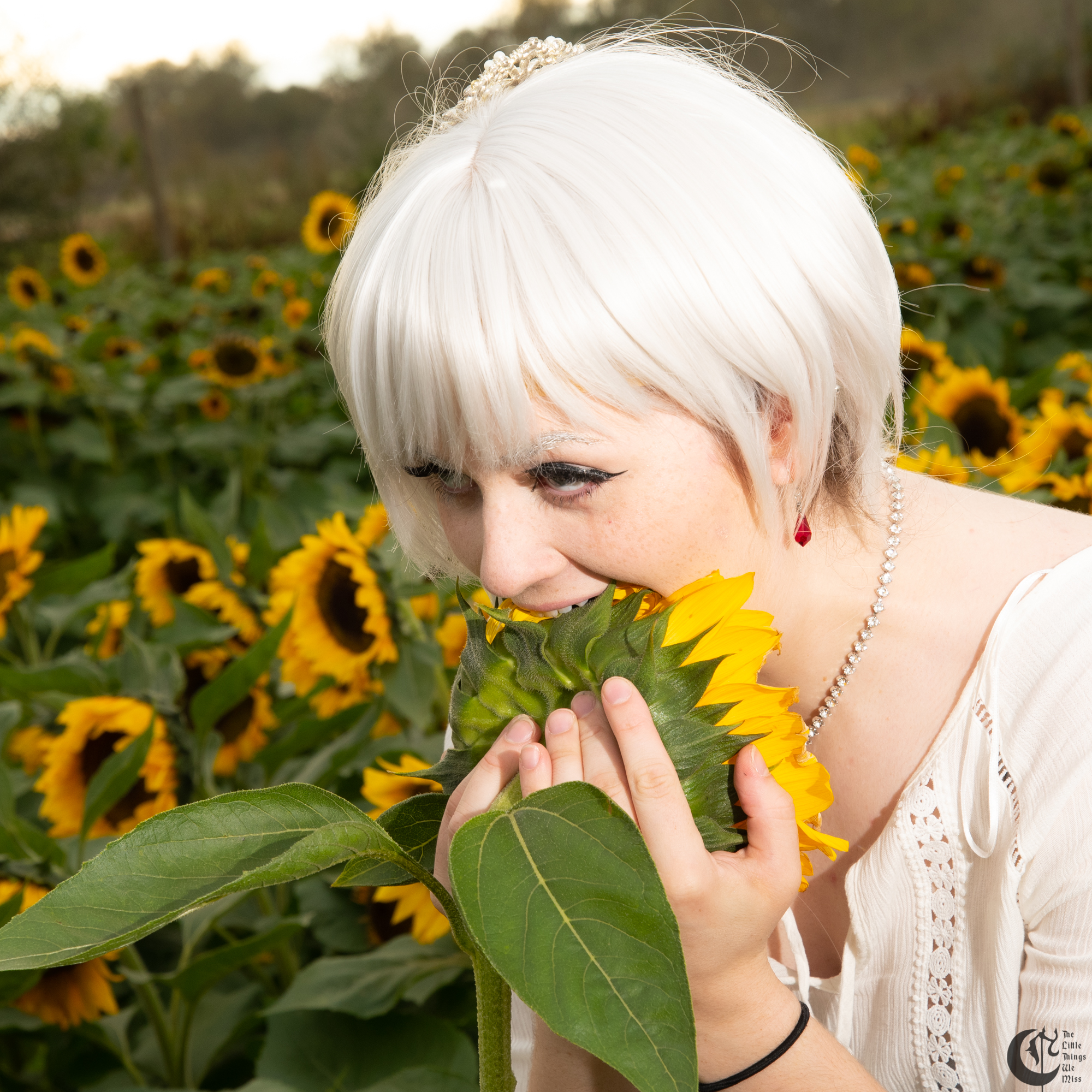 !!191013_Sunflowers_0299!!