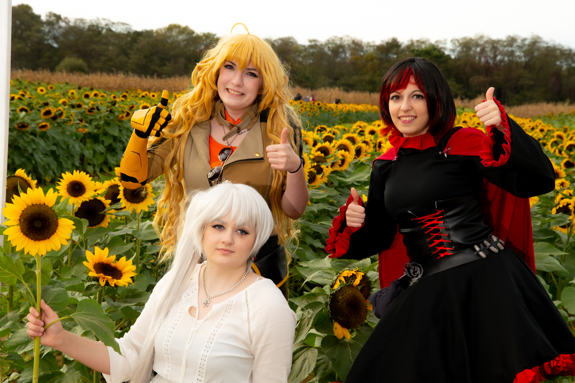 !!191013_Sunflowers_0336!!