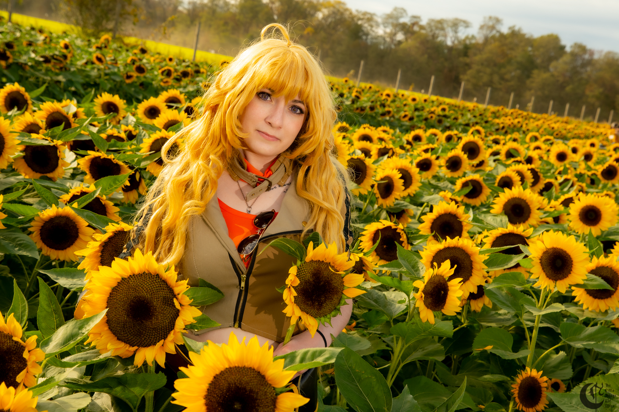 Cover_191013_Sunflowers_0195