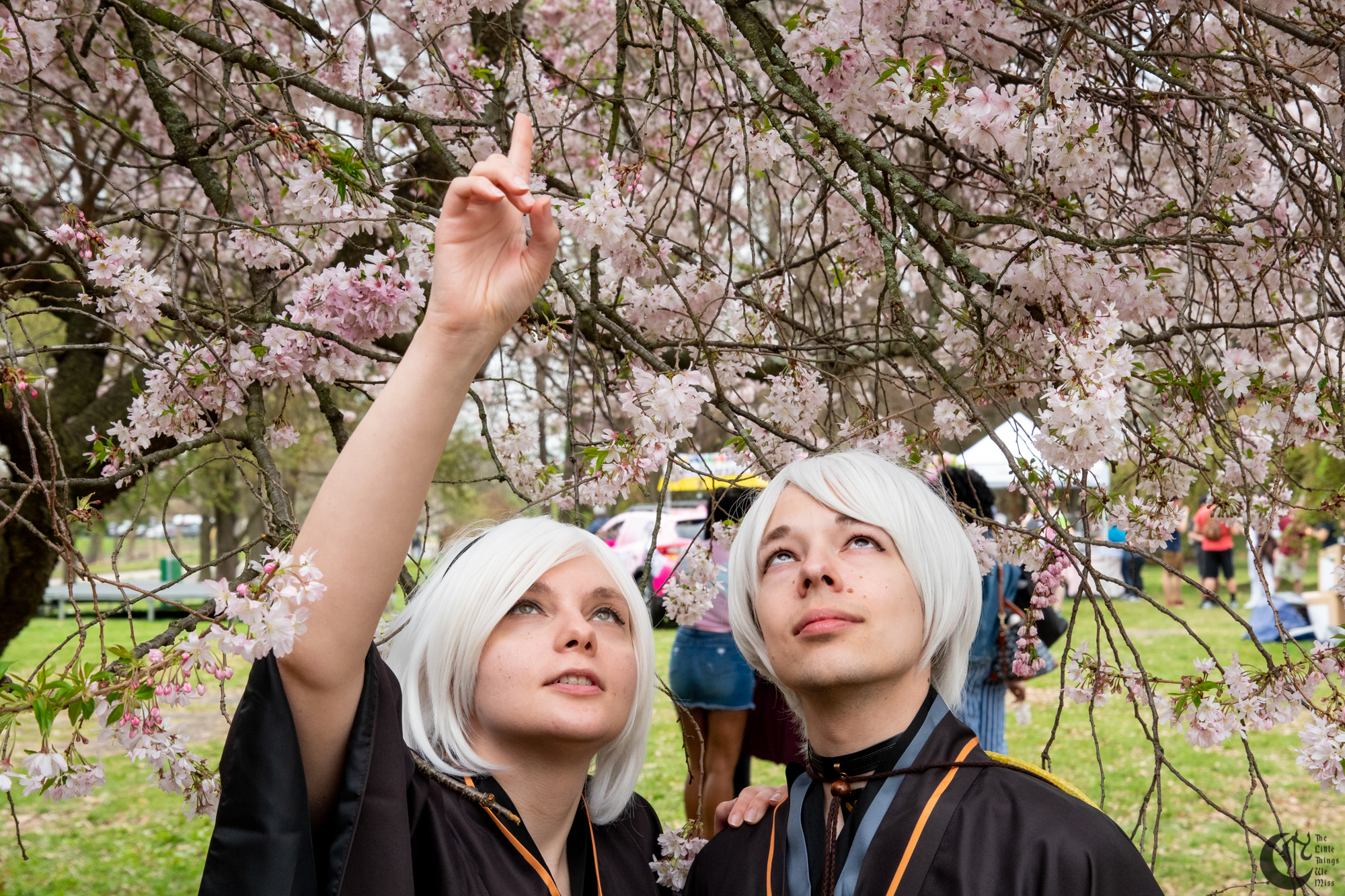 !!190414_Sakura_Sunday_0276!!