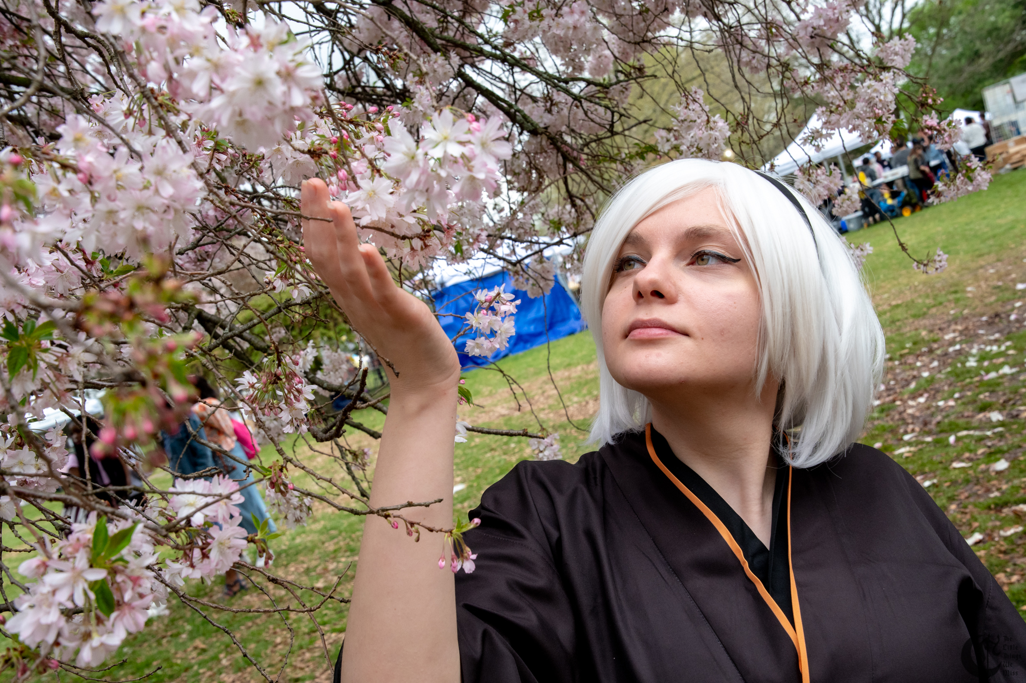 !!190414_Sakura_Sunday_0298!!