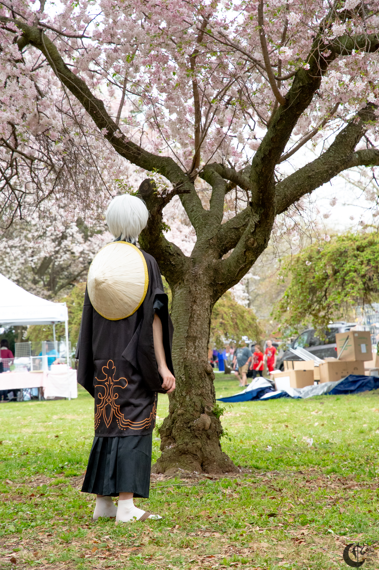 !!190414_Sakura_Sunday_0369!!