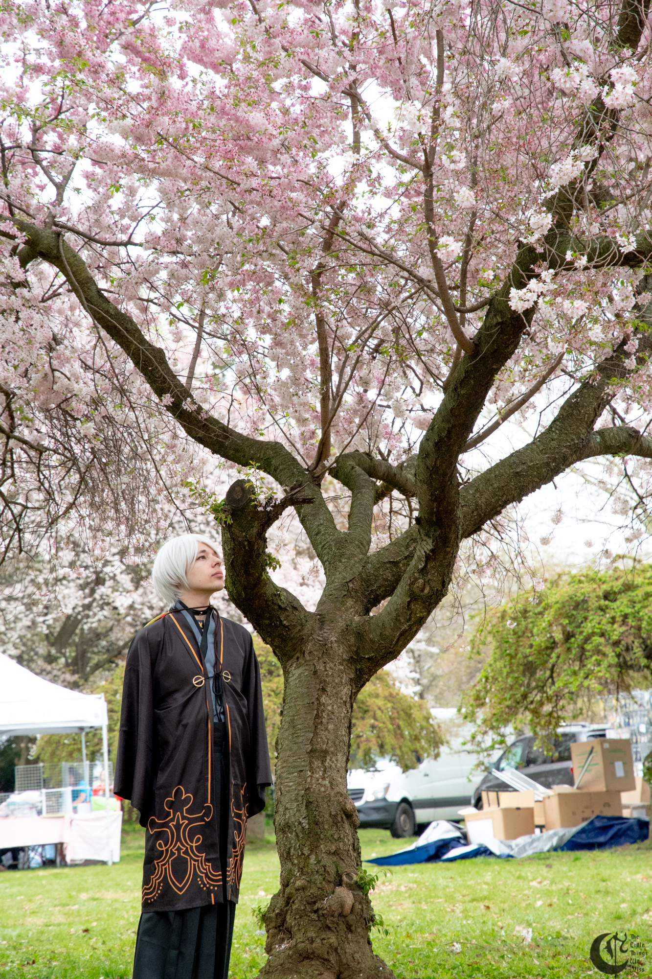 !!190414_Sakura_Sunday_0374!!