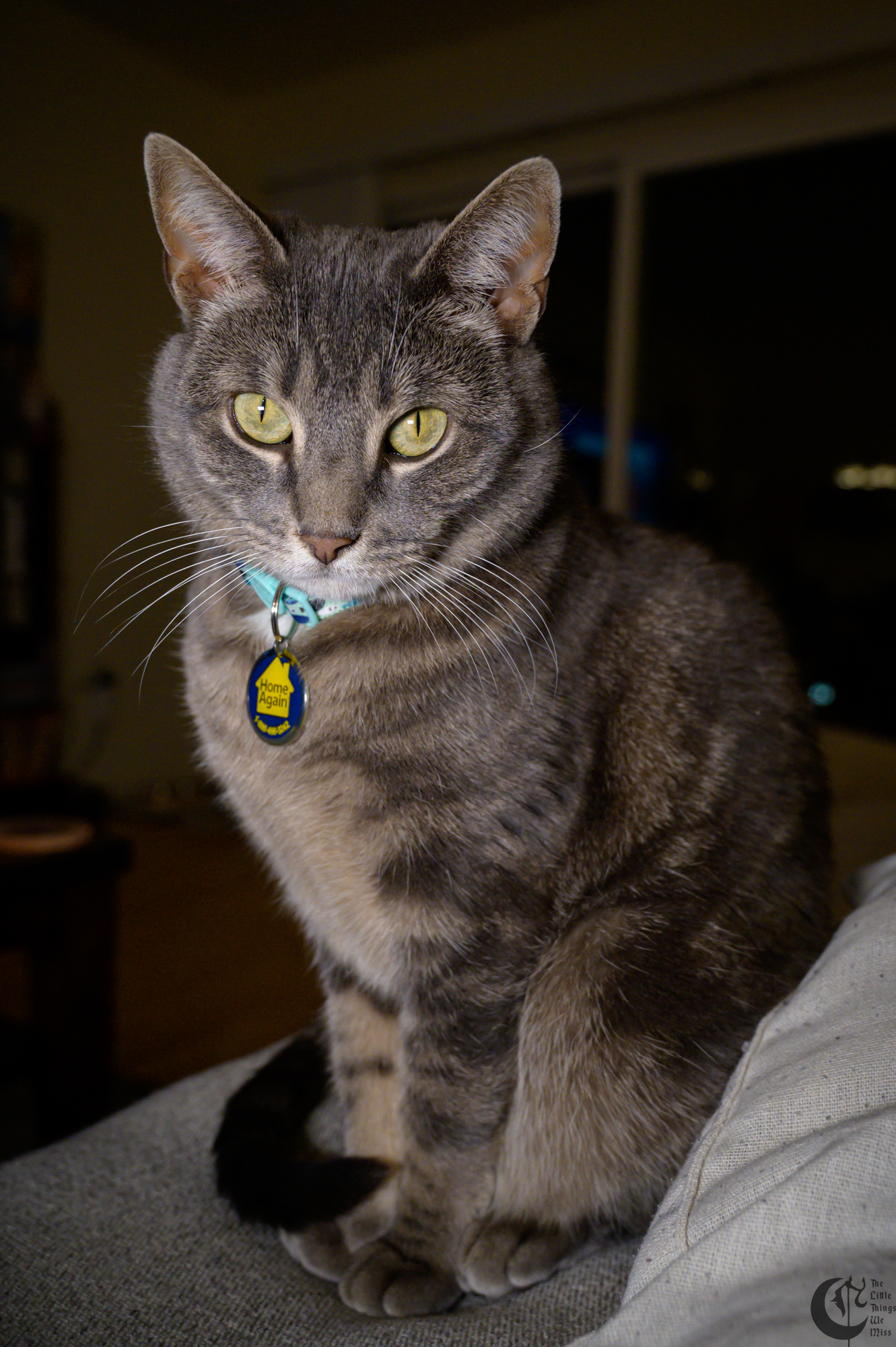 !!_221218_December_Lucy_0116!!