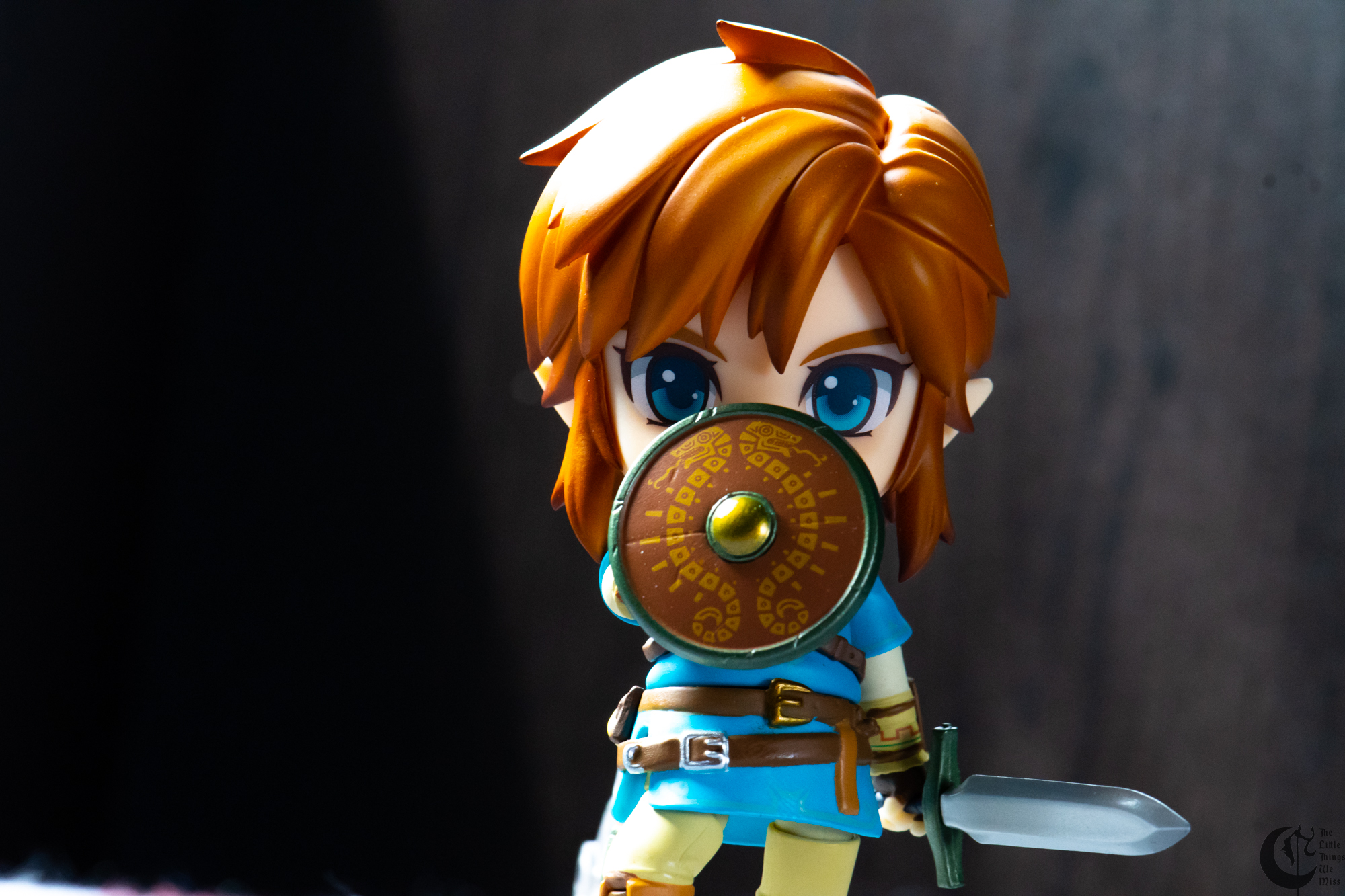 Cover_link-063