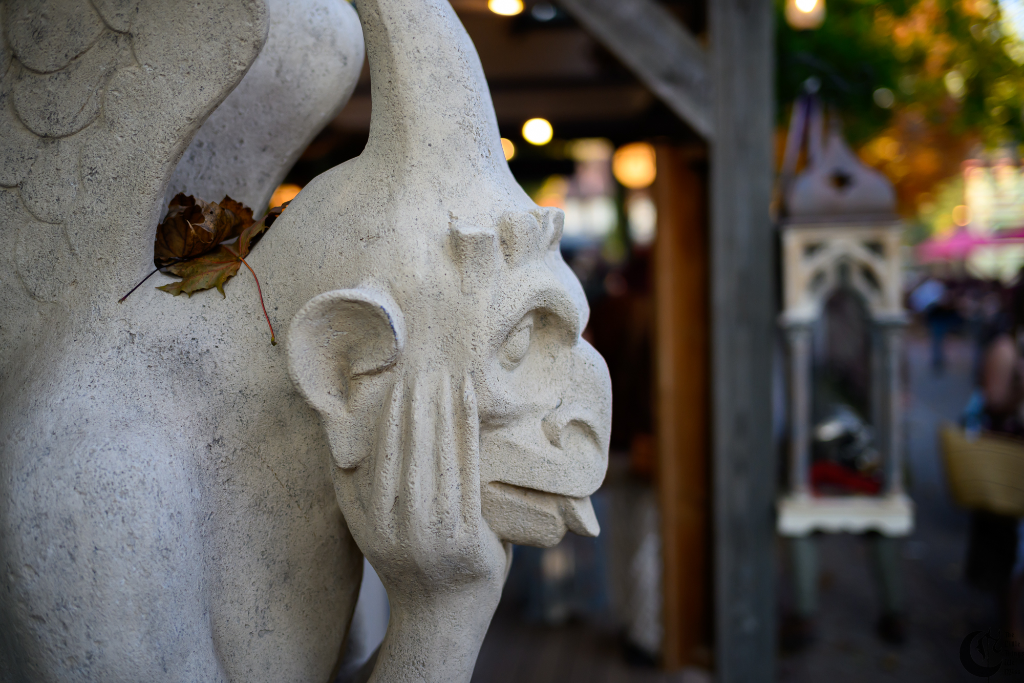 Cover_231028_Ren_Faire_Oct23_0175
