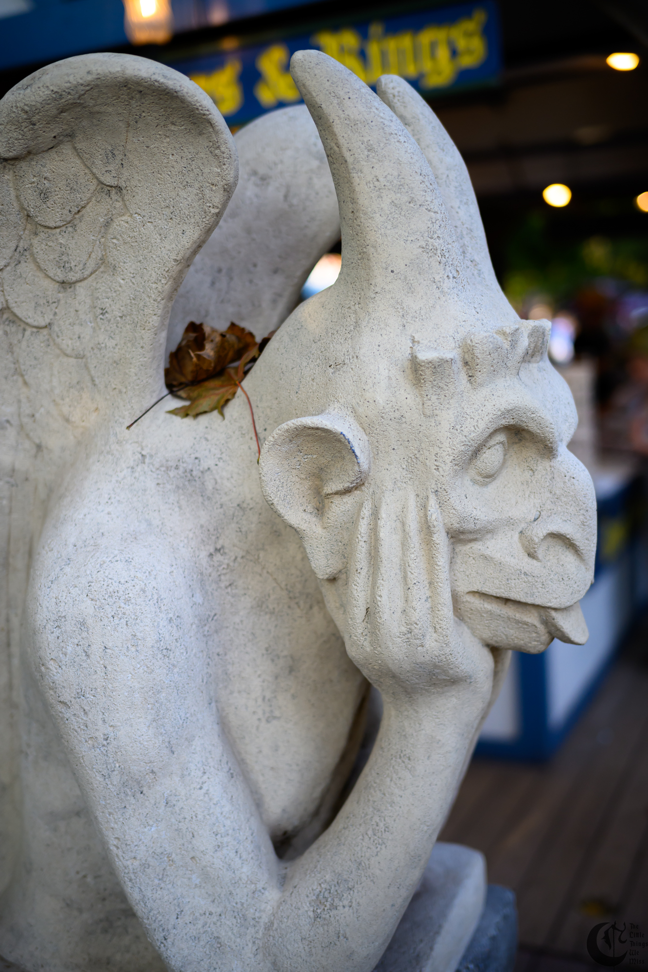 !!_231028_Ren_Faire_Oct23_0180!!