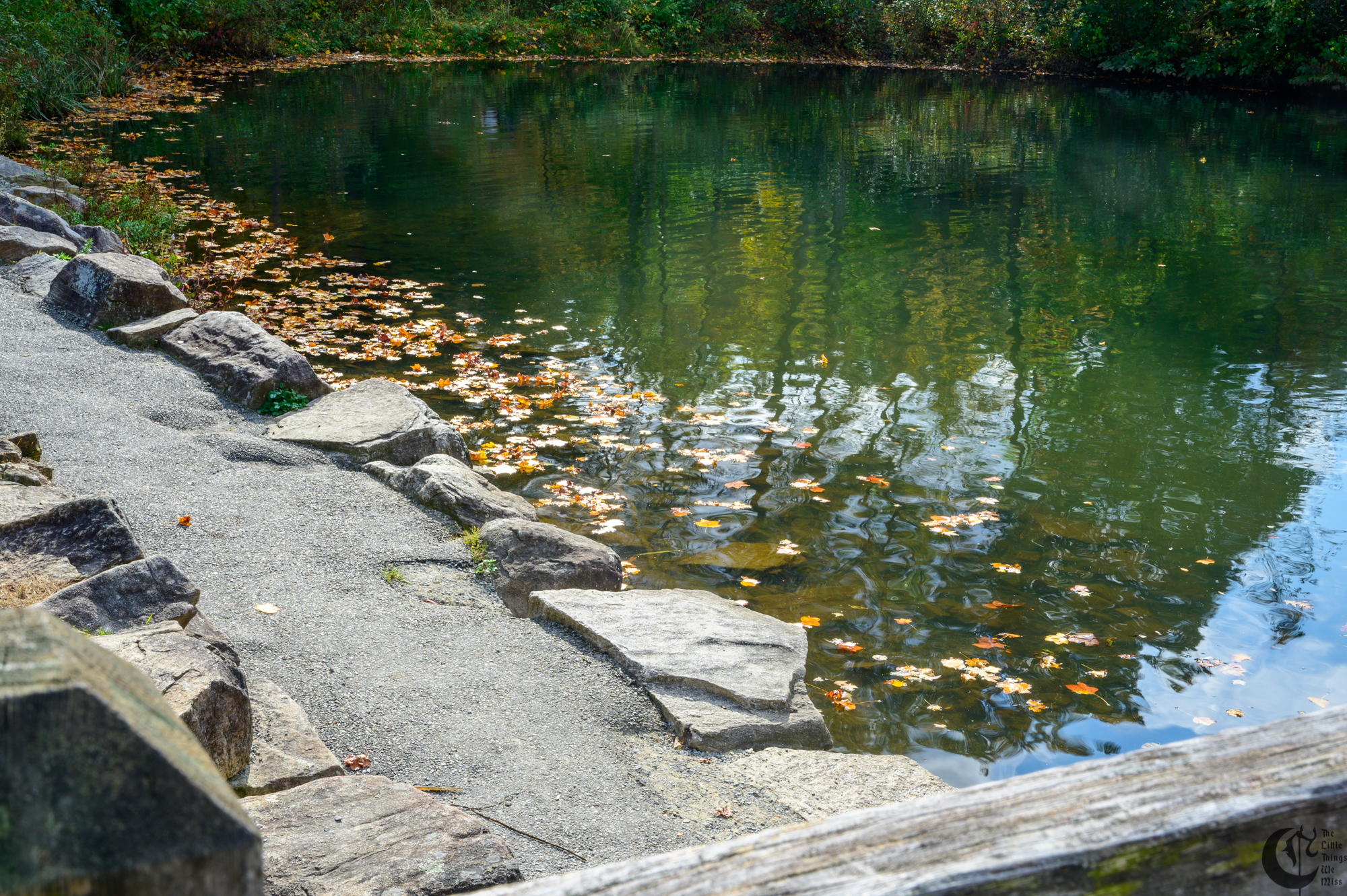 !!_211016_Mythicos_0167!!