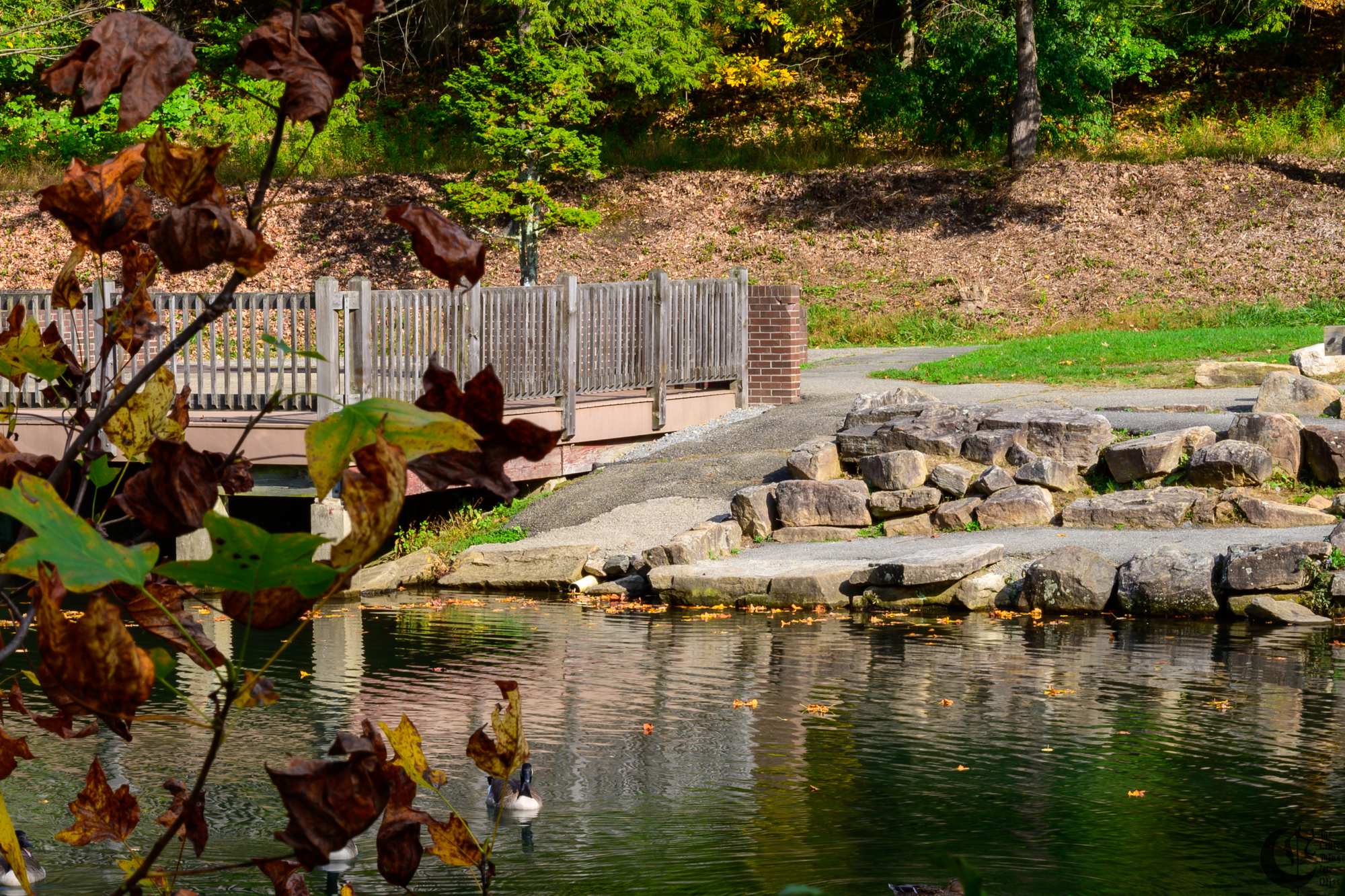 !!_211016_Mythicos_0272!!