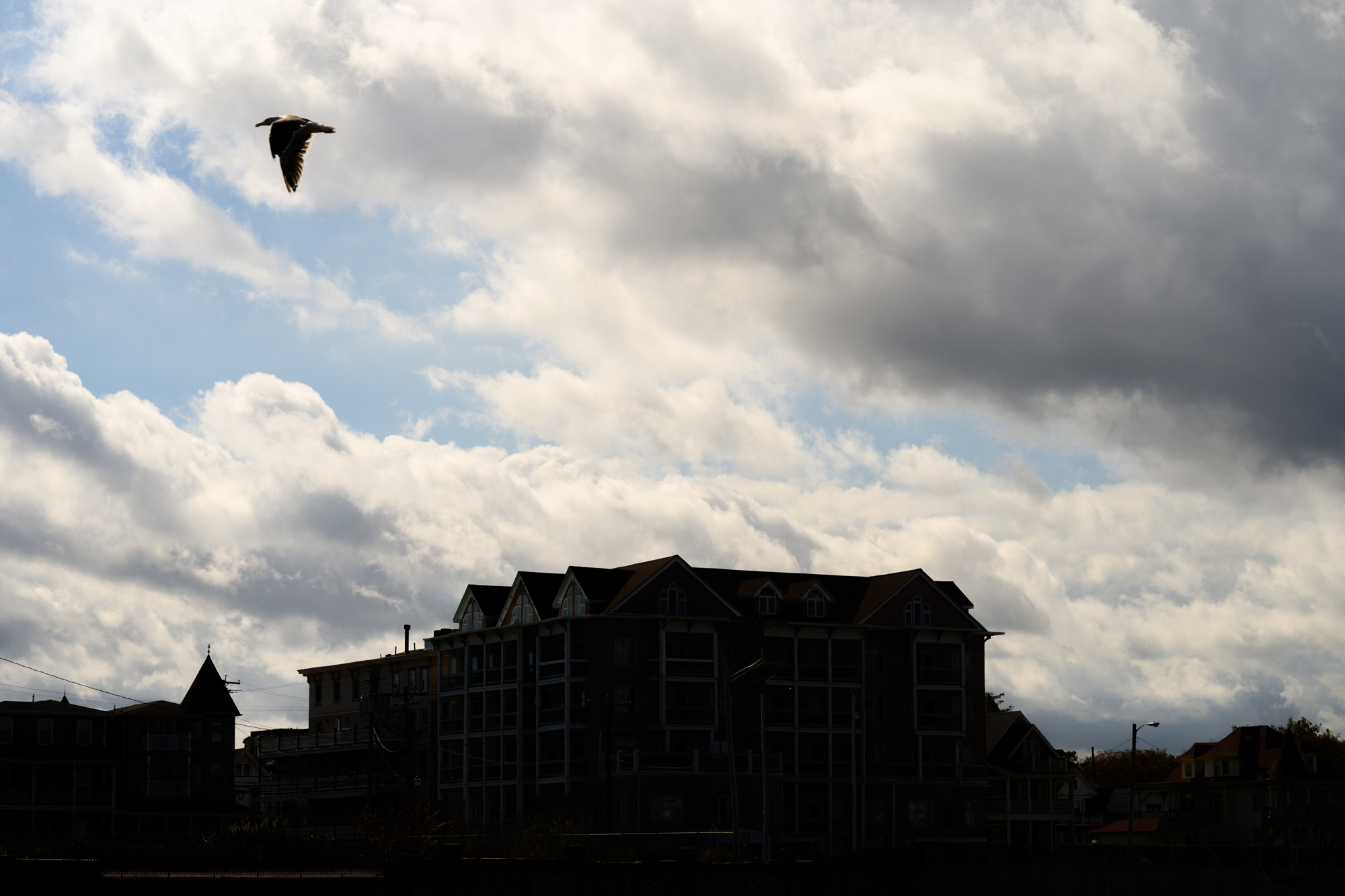 !!_241006_Asbury_Photo_Walk_0146!!