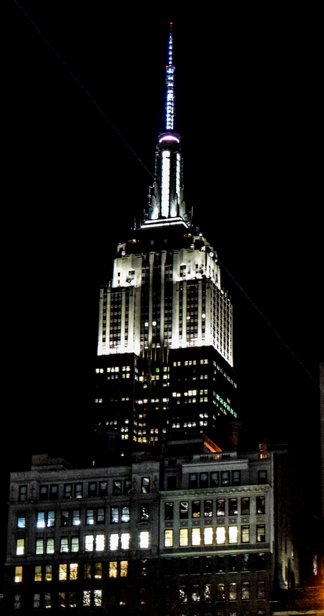 !!_1271_-_DSC_7342!!