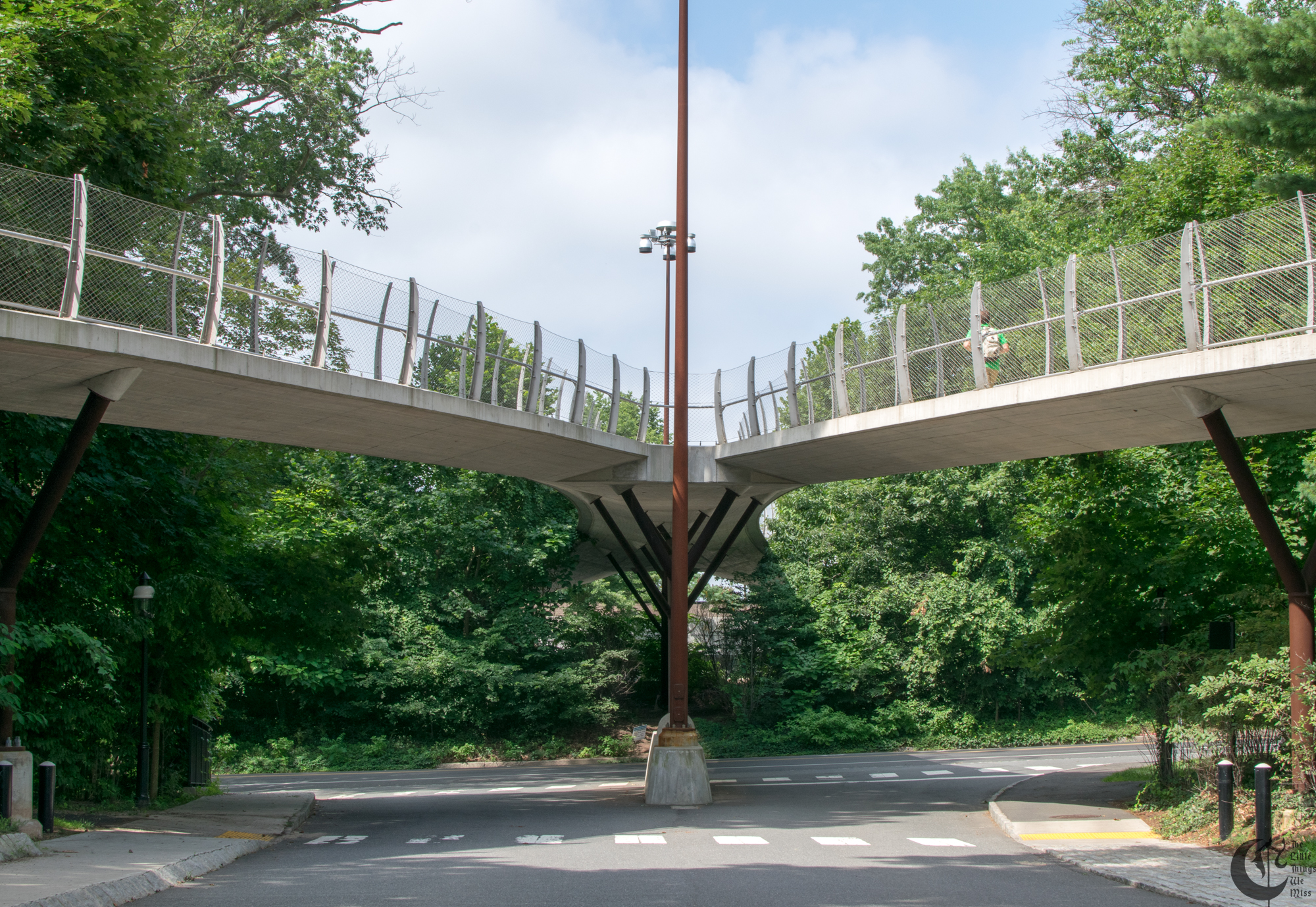 !!_170718_Princeton-_0043!!