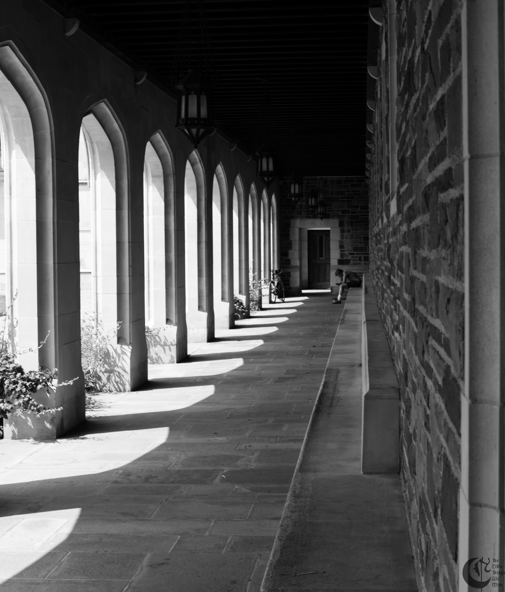 !!_170718_Princeton-_0235!!
