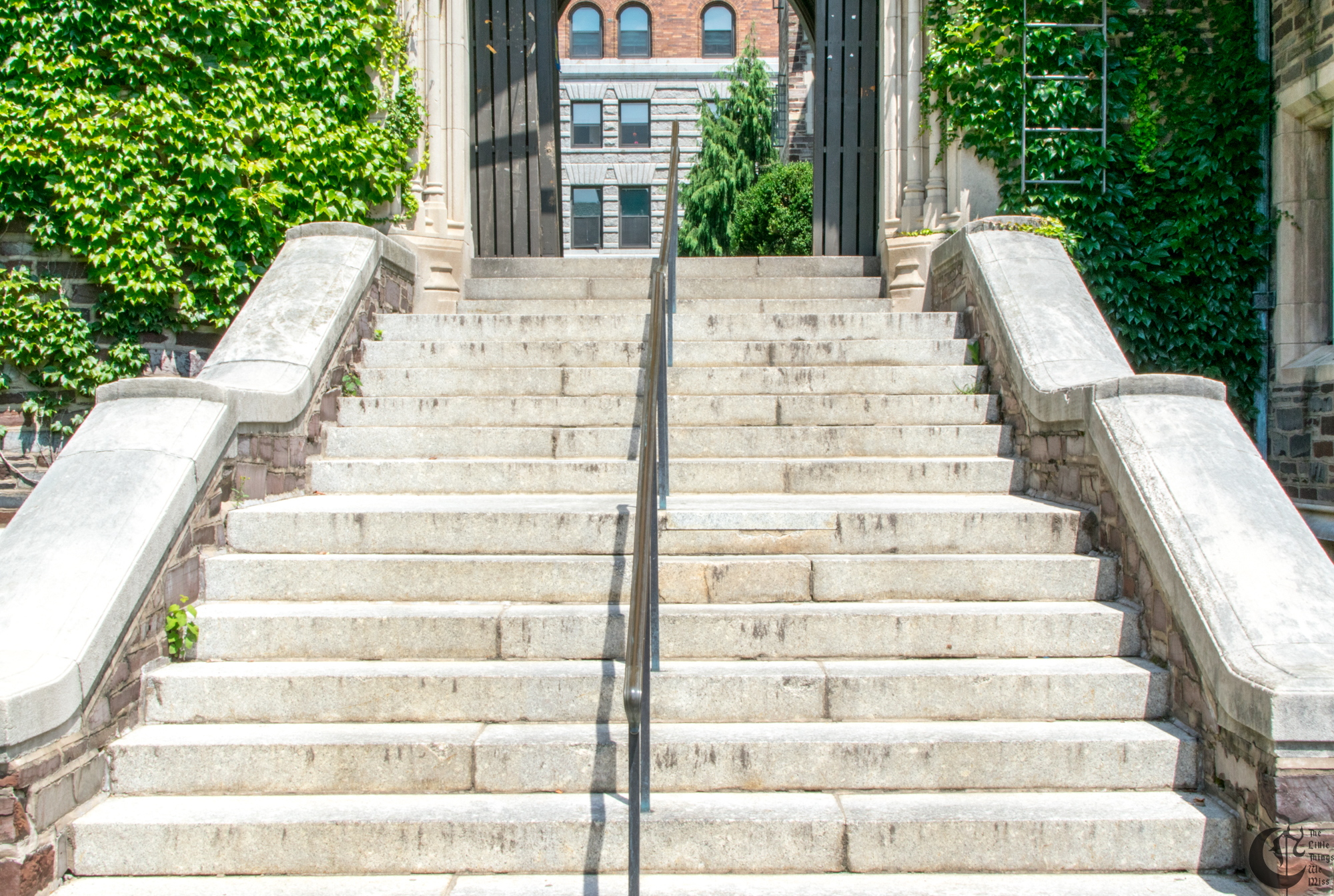 !!_170718_Princeton-_0347!!