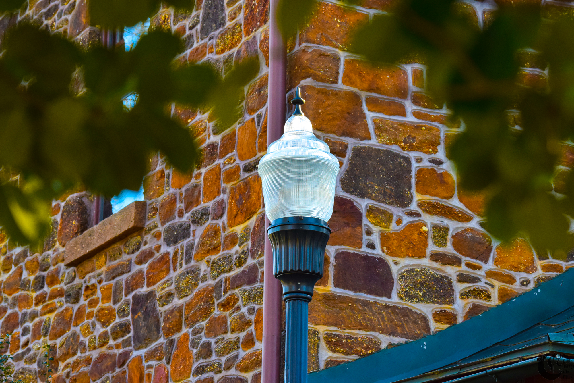 !!_379_-_DSC_5275!!