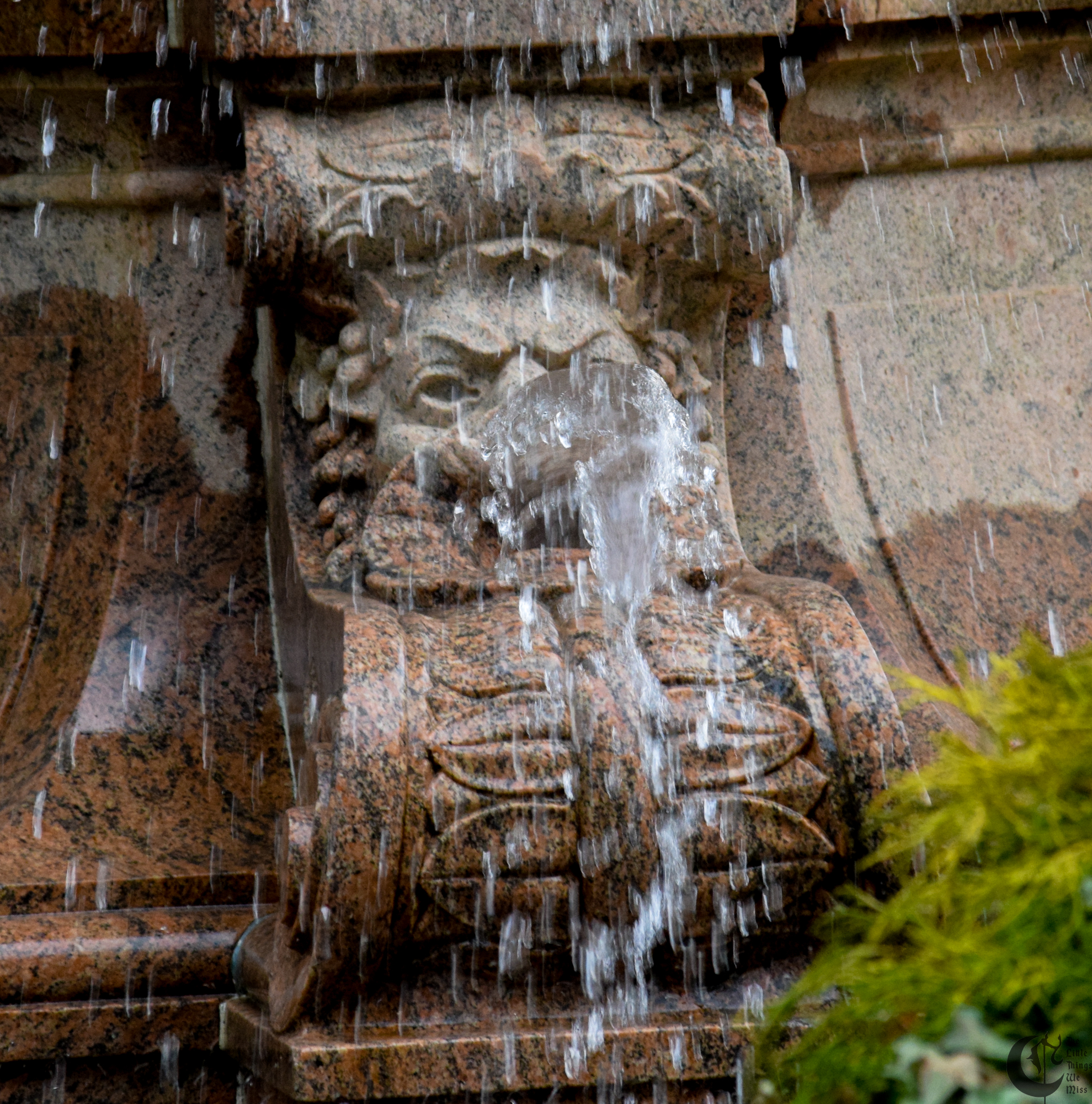 !!_897_-_DSC_6961!!