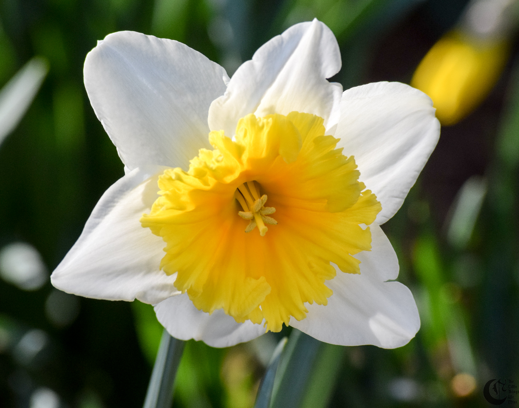 !!_160324_Campus_Walks_0109!!