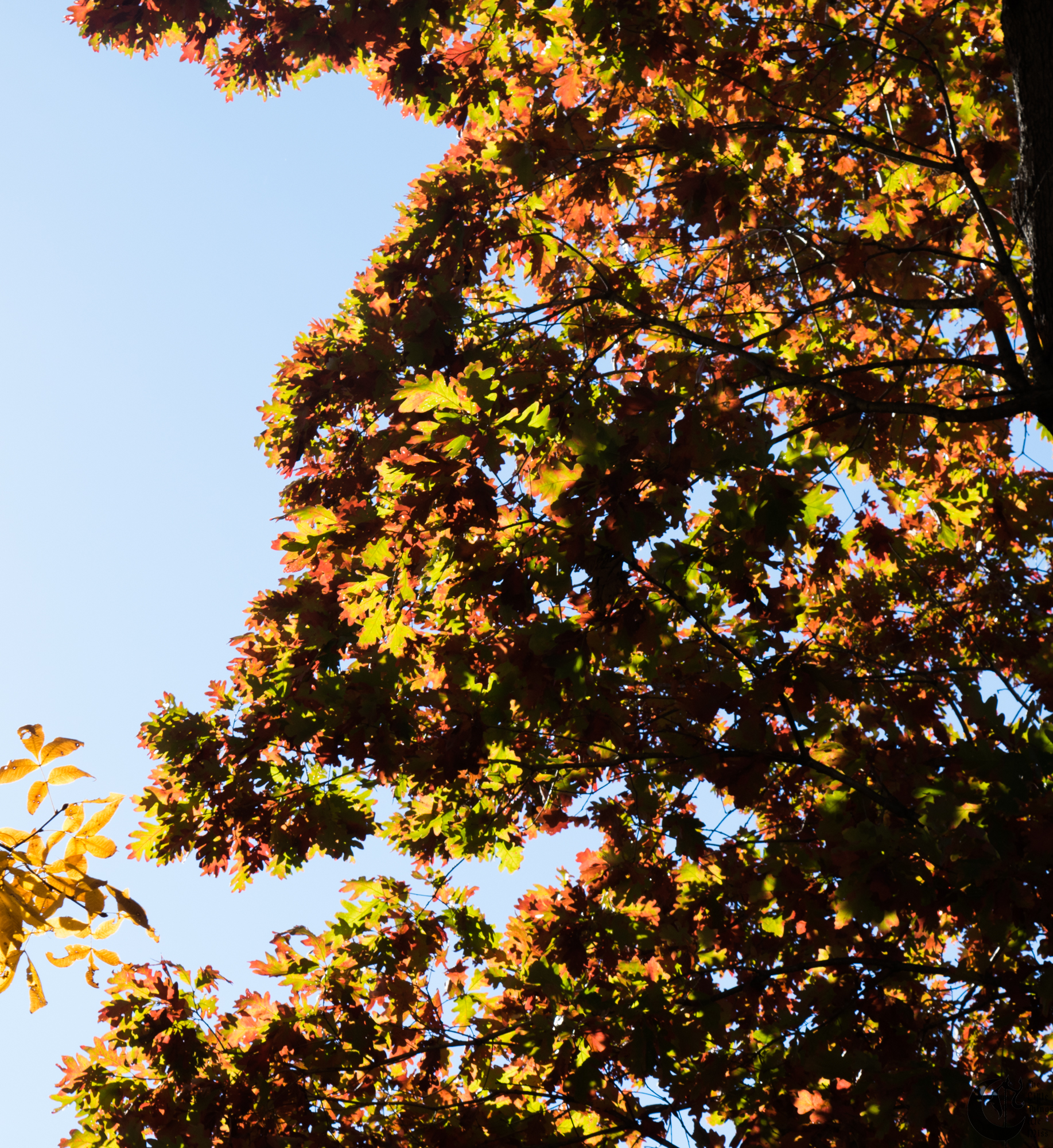 !!_161110_Walking_0015!!
