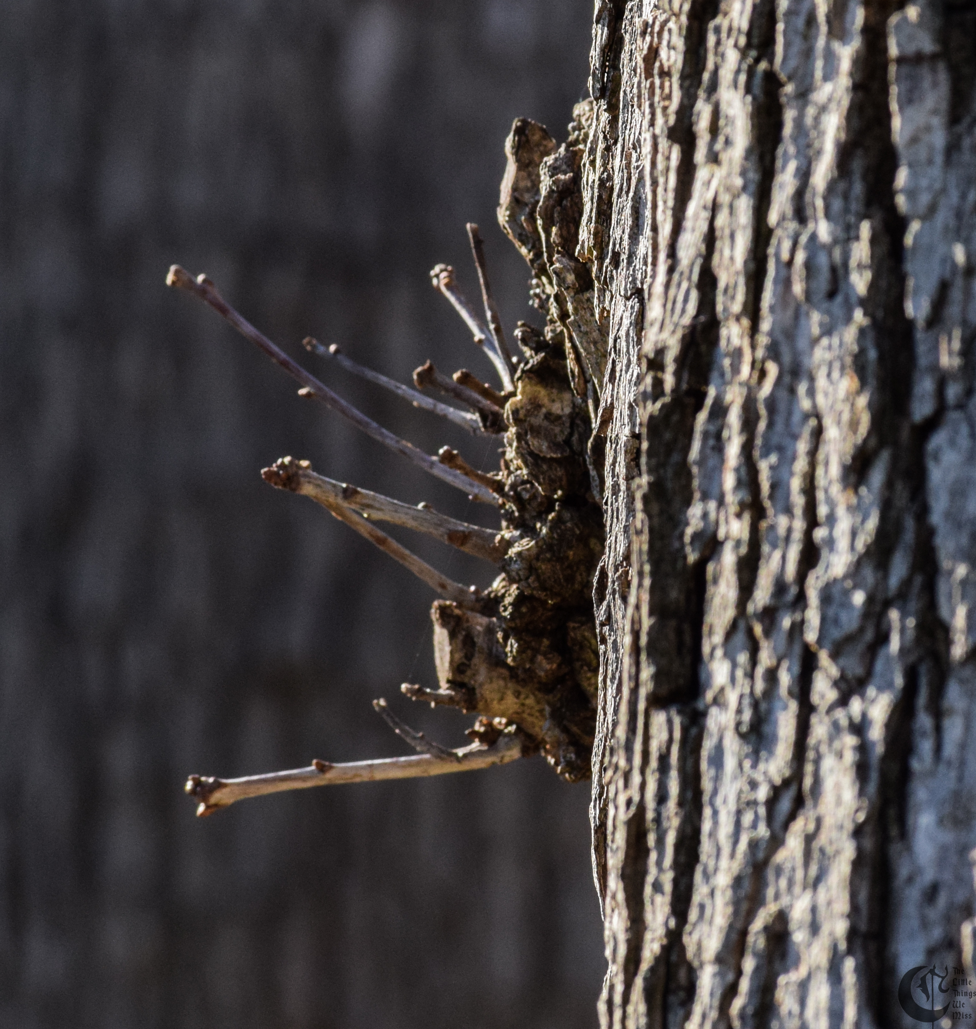 !!_163_-_DSC_5059!!