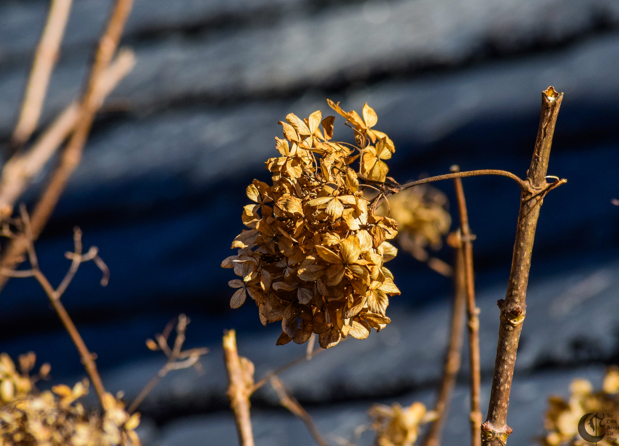 !!_408_-_DSC_5304!!