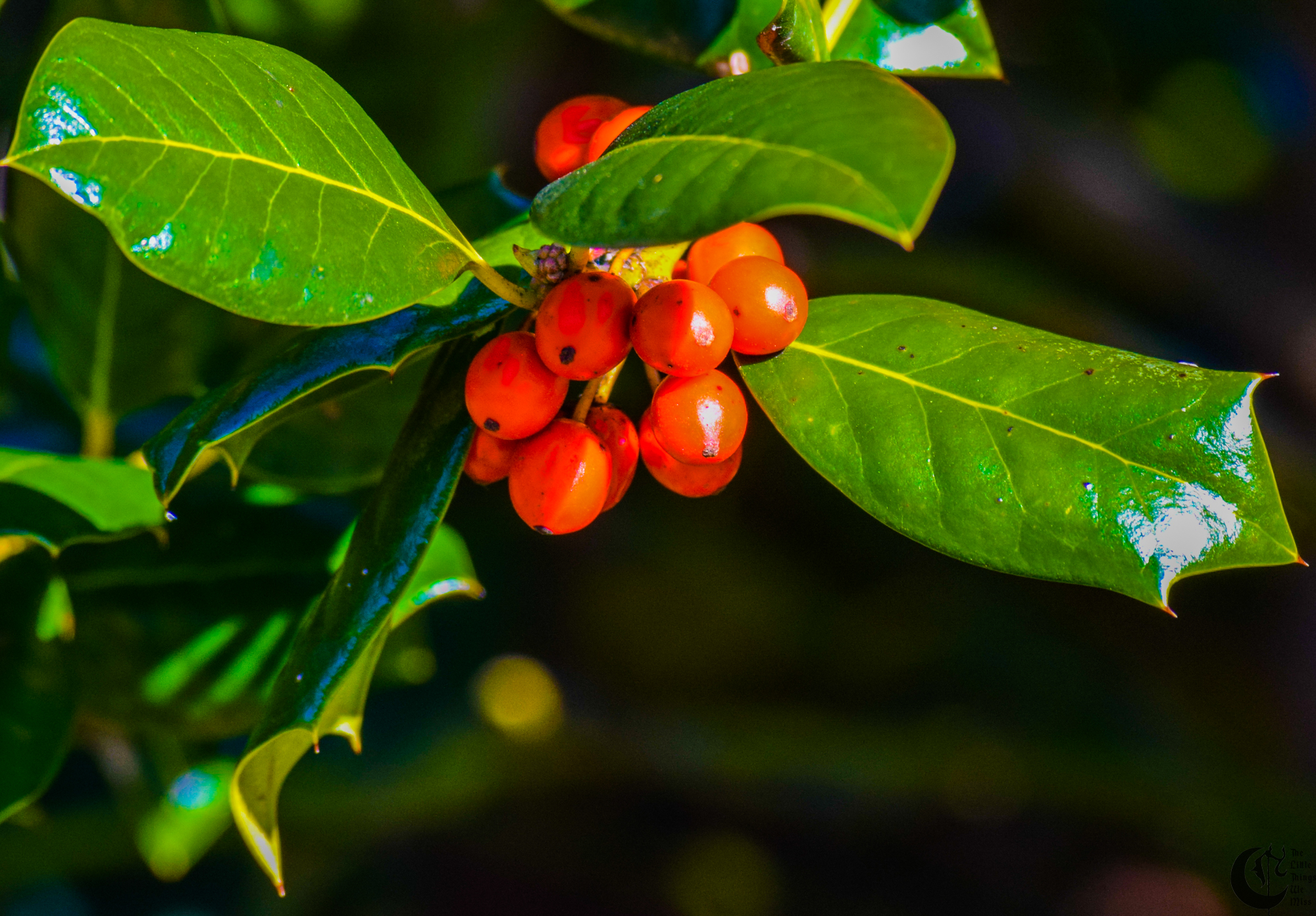 !!_464_-_DSC_5360!!