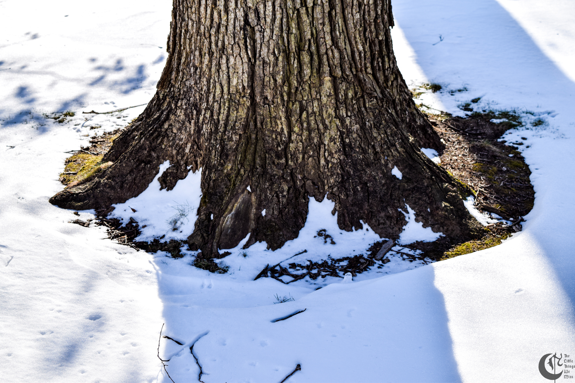 !!_54_-_DSC_3279!!