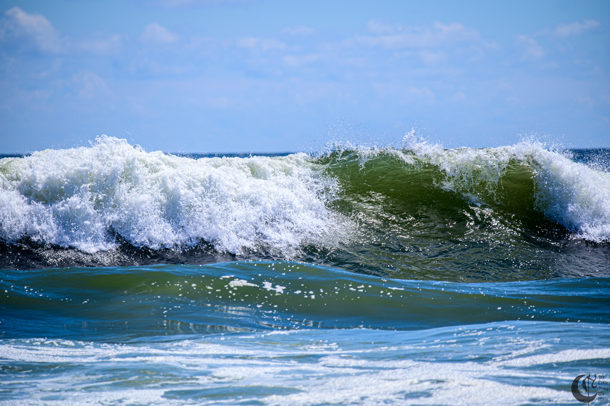 !!_220817_August_LBI_2369!!