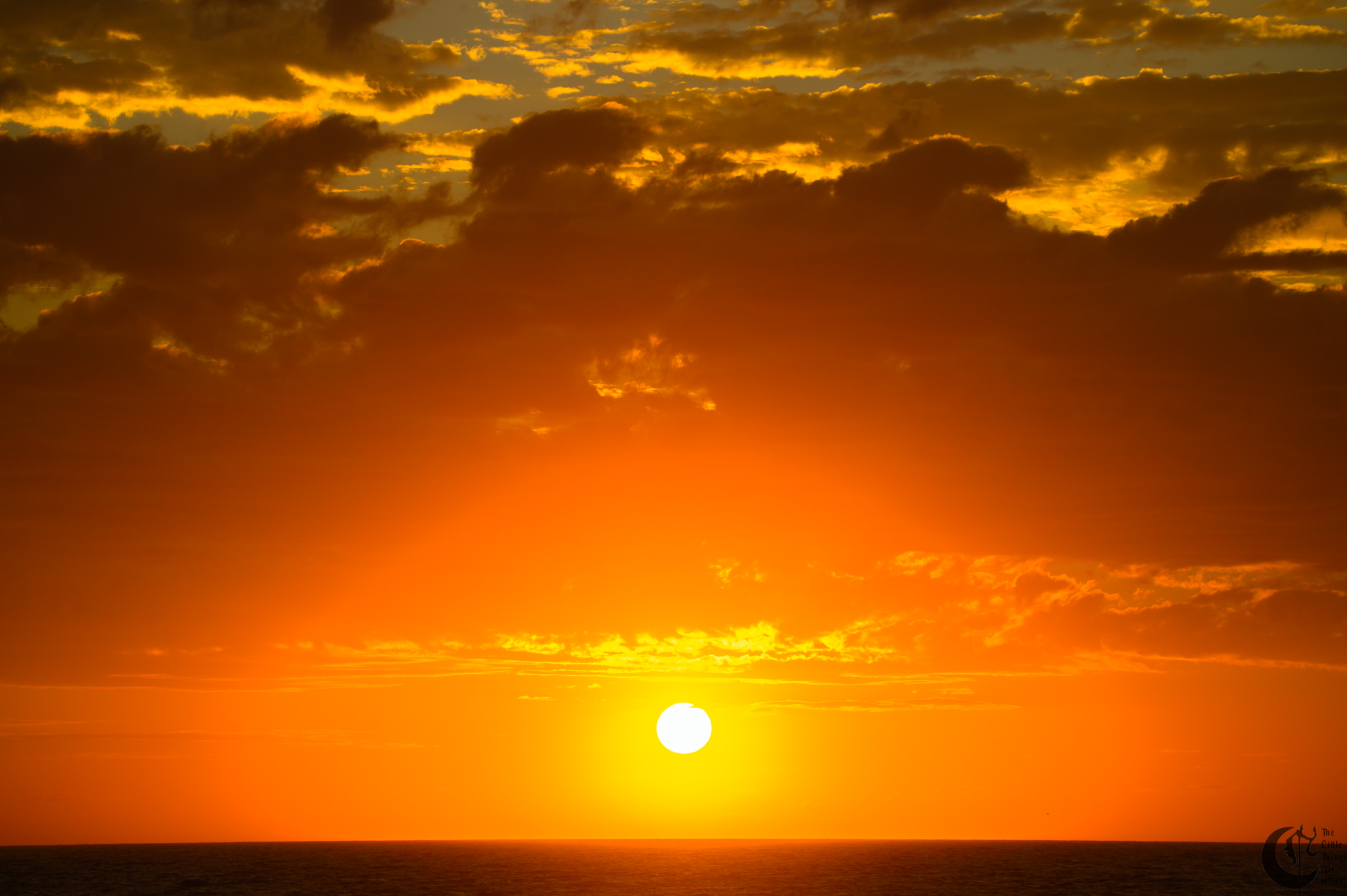 Cover_221012_Myrtle_Beach_0479