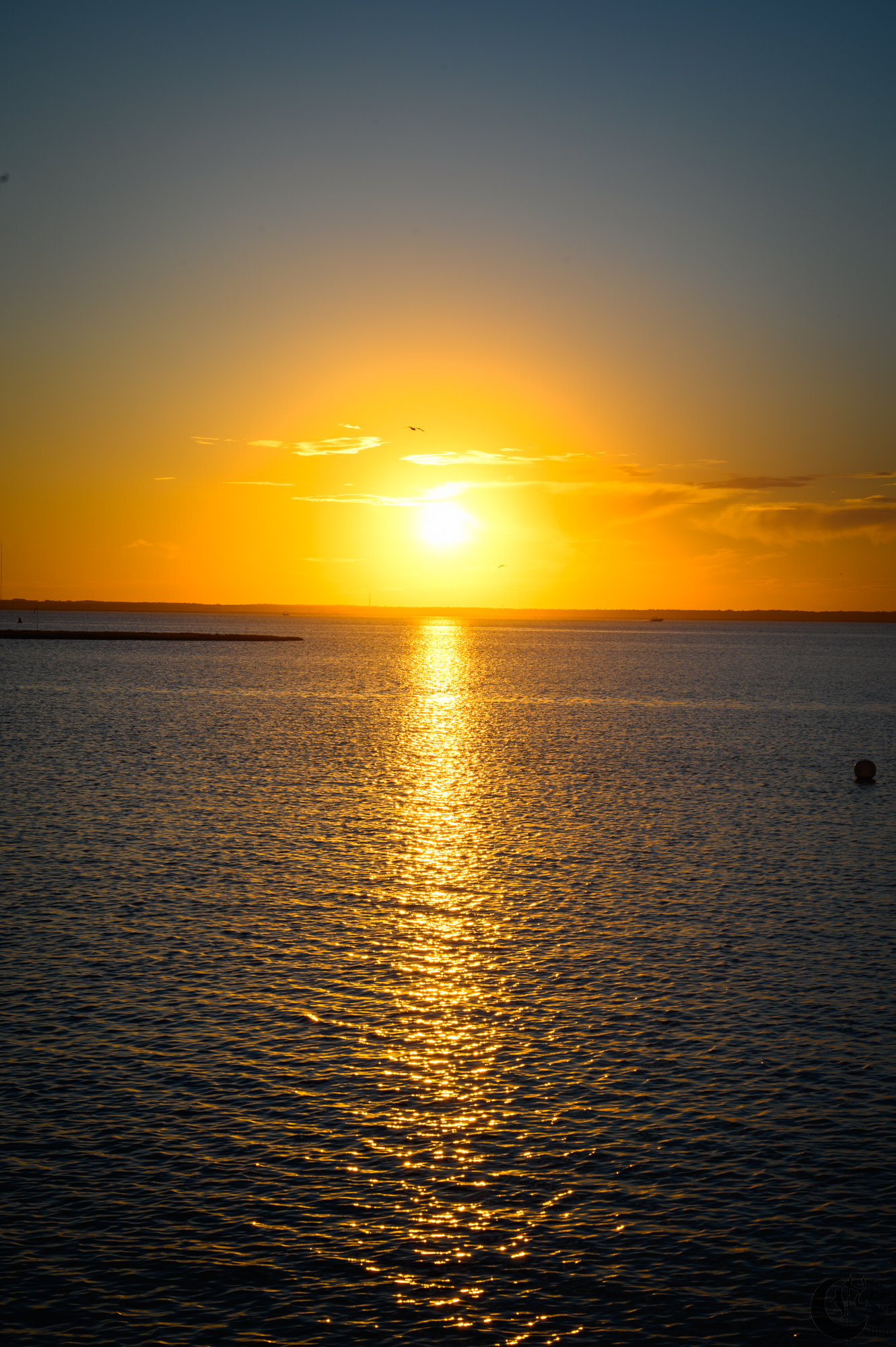 !!_220816_August_LBI_2018!!
